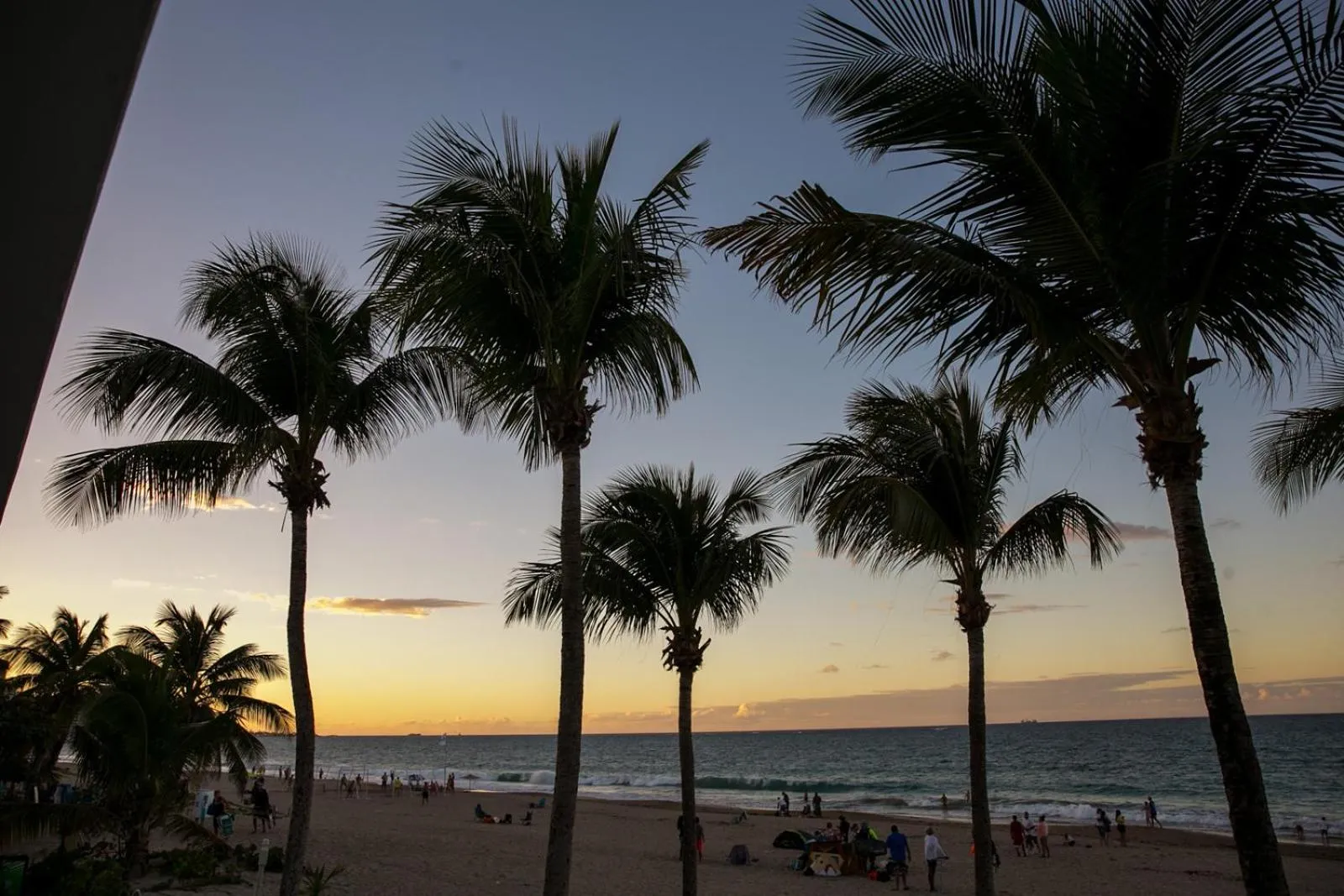 Natural landscape in Numero Uno Beach House