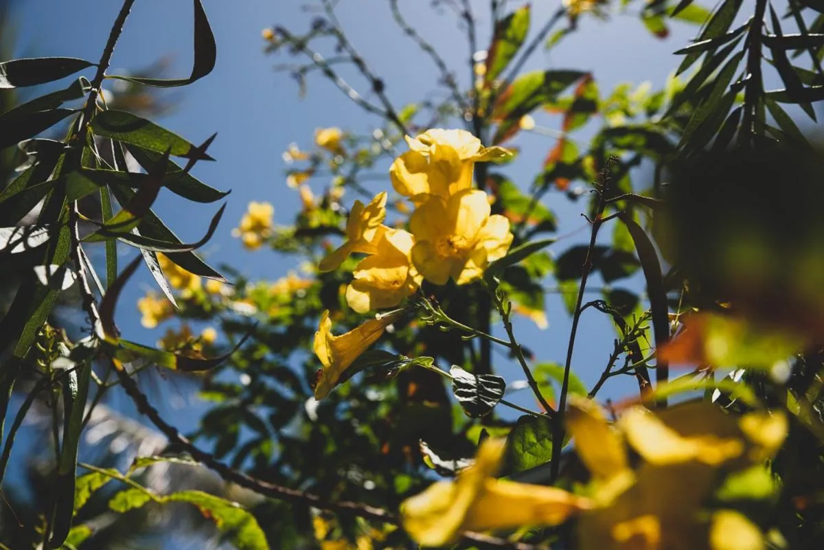 Numero Uno Beach House