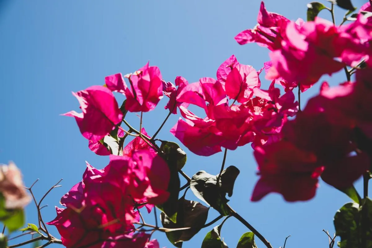 Numero Uno Beach House