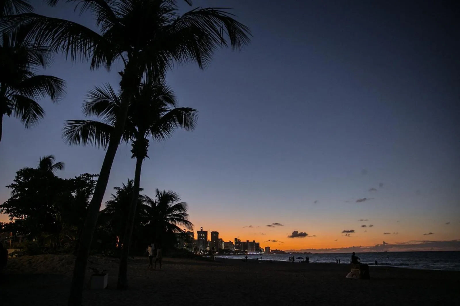 Natural landscape in Numero Uno Beach House