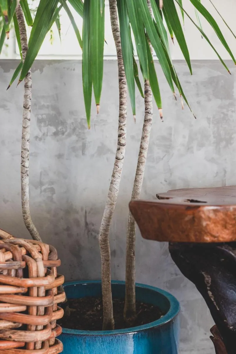 Numero Uno Beach House