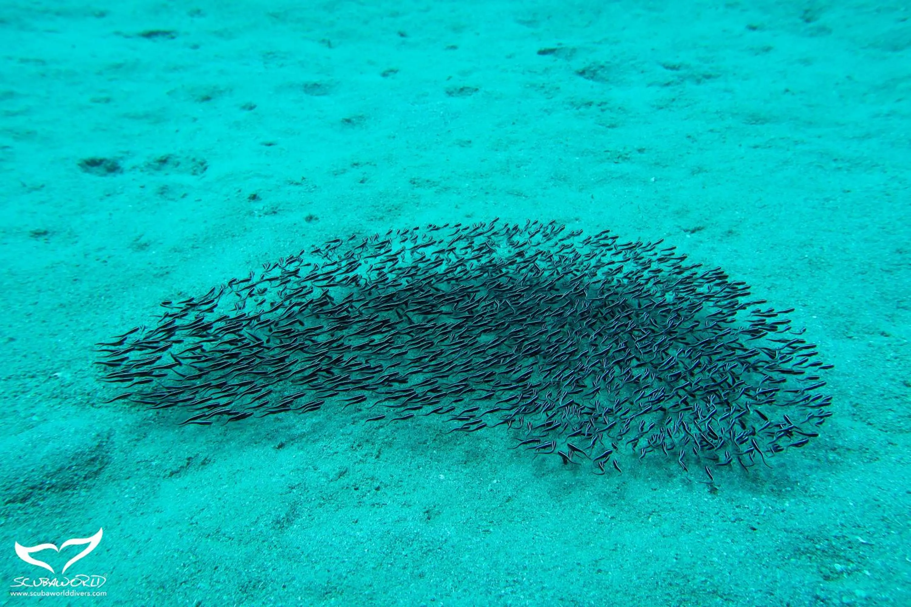 Natural landscape in Movenpick Waterpark Resort & Spa Soma Bay