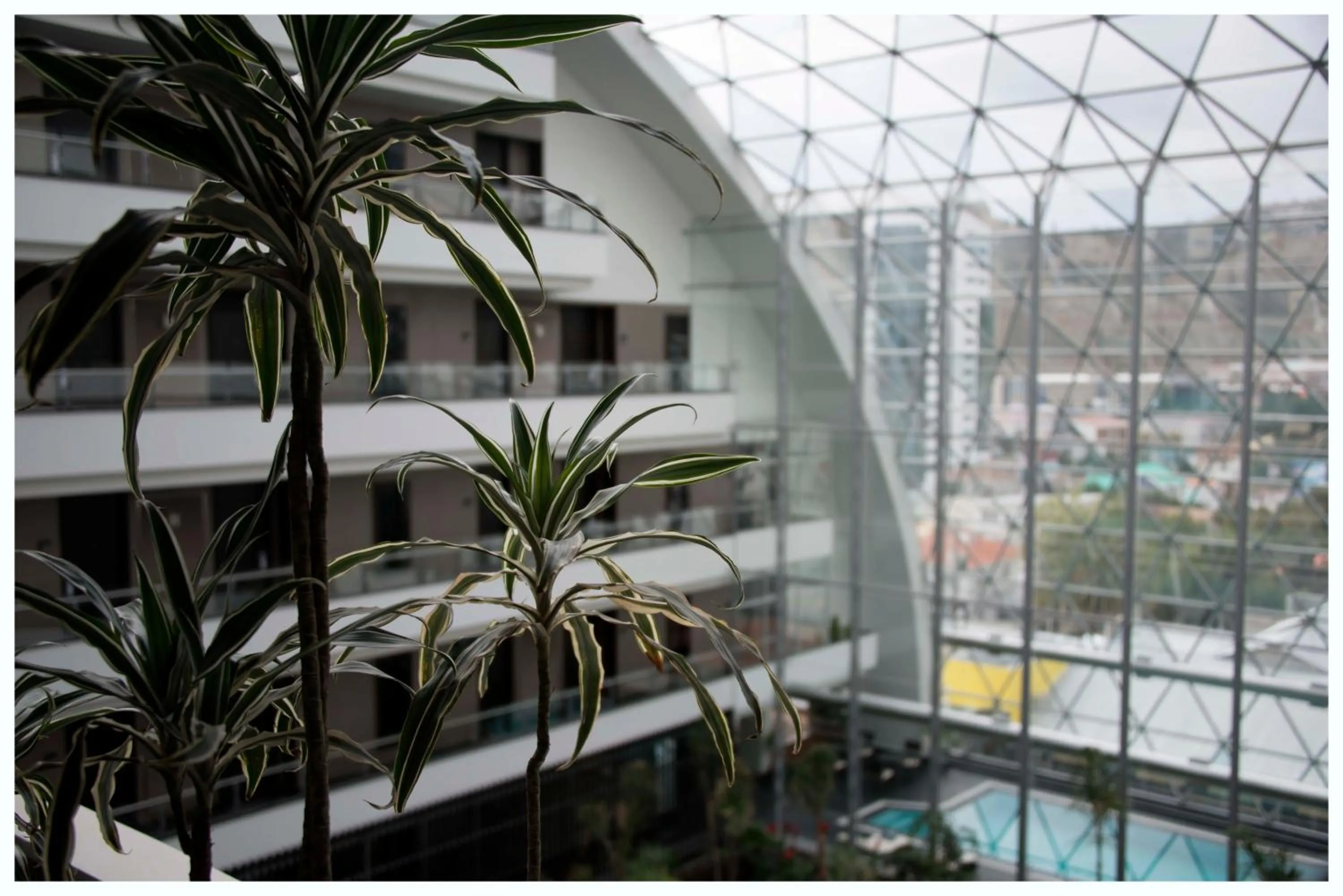 Lobby or reception in Casa Grande Hotel