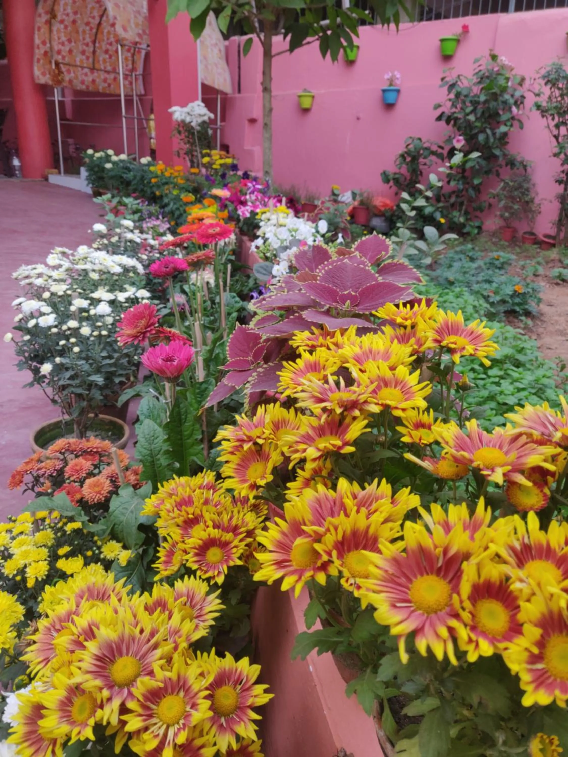 Facade/entrance in Ratna Resort near Bhubaneswar Airport
