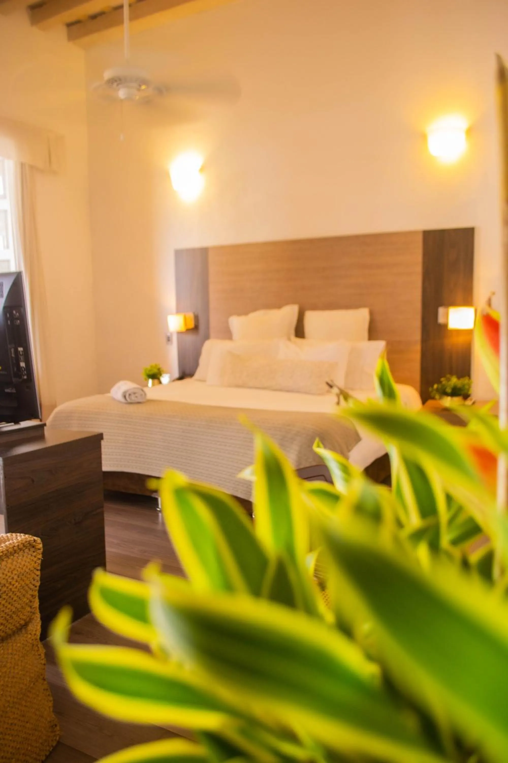 Bed in Hotel Boutique Don Pepe