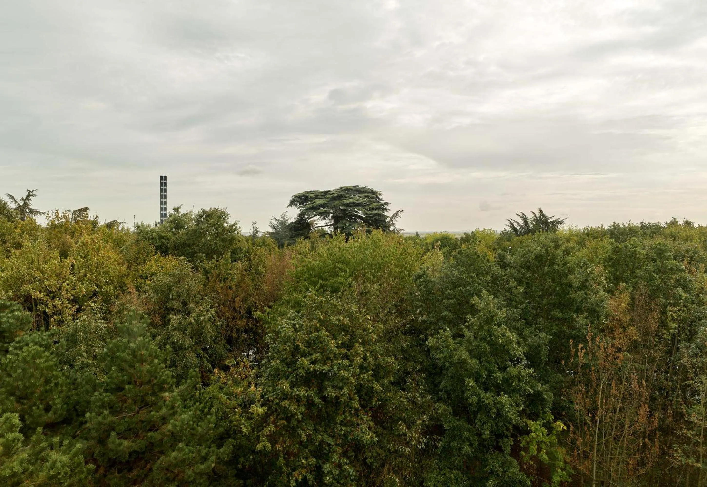 View (from property/room) in B&B HOTEL Paris Grand Roissy CDG Aéroport 4 étoiles