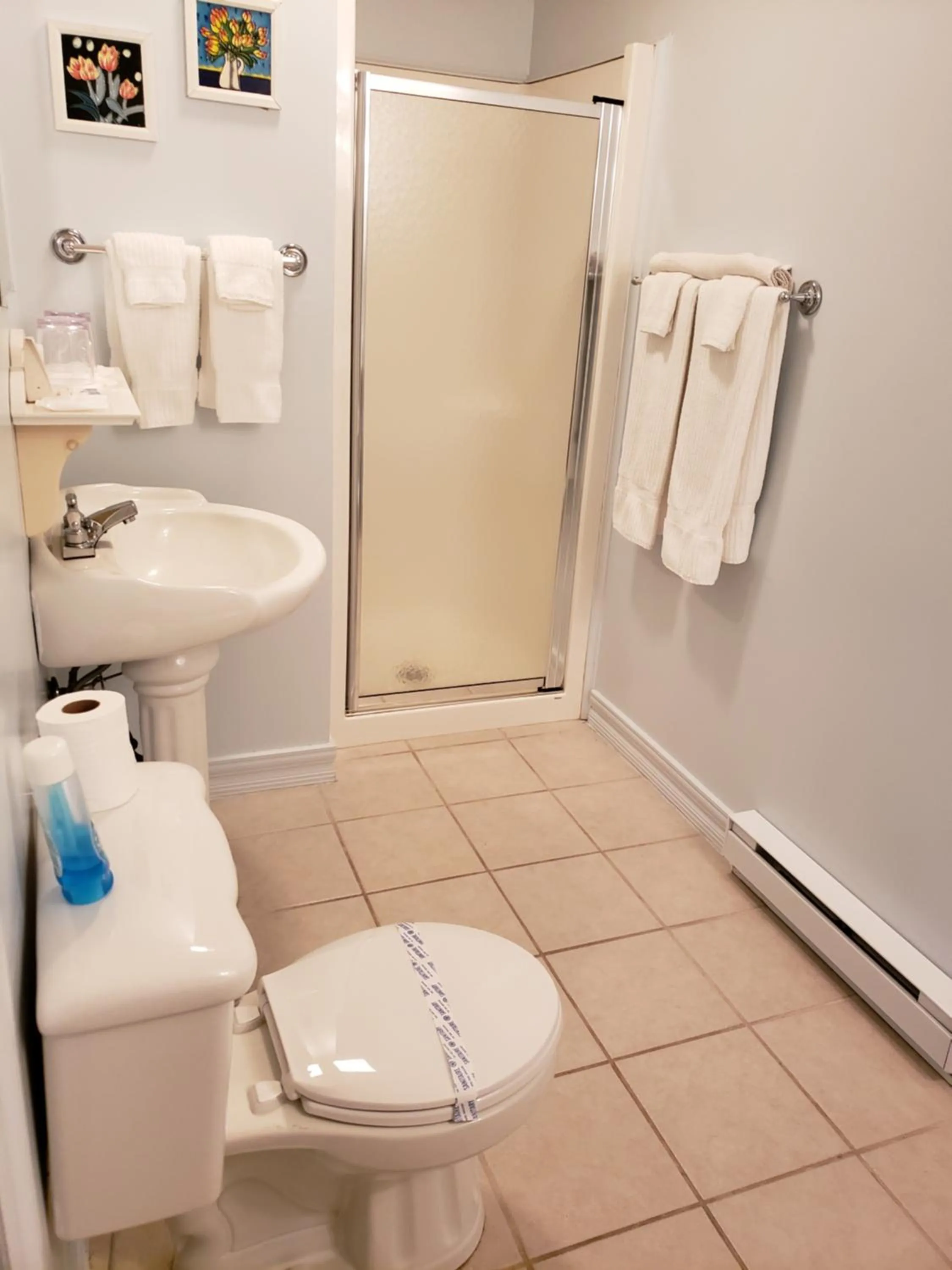 Shower in Gîte Le Grandelinois