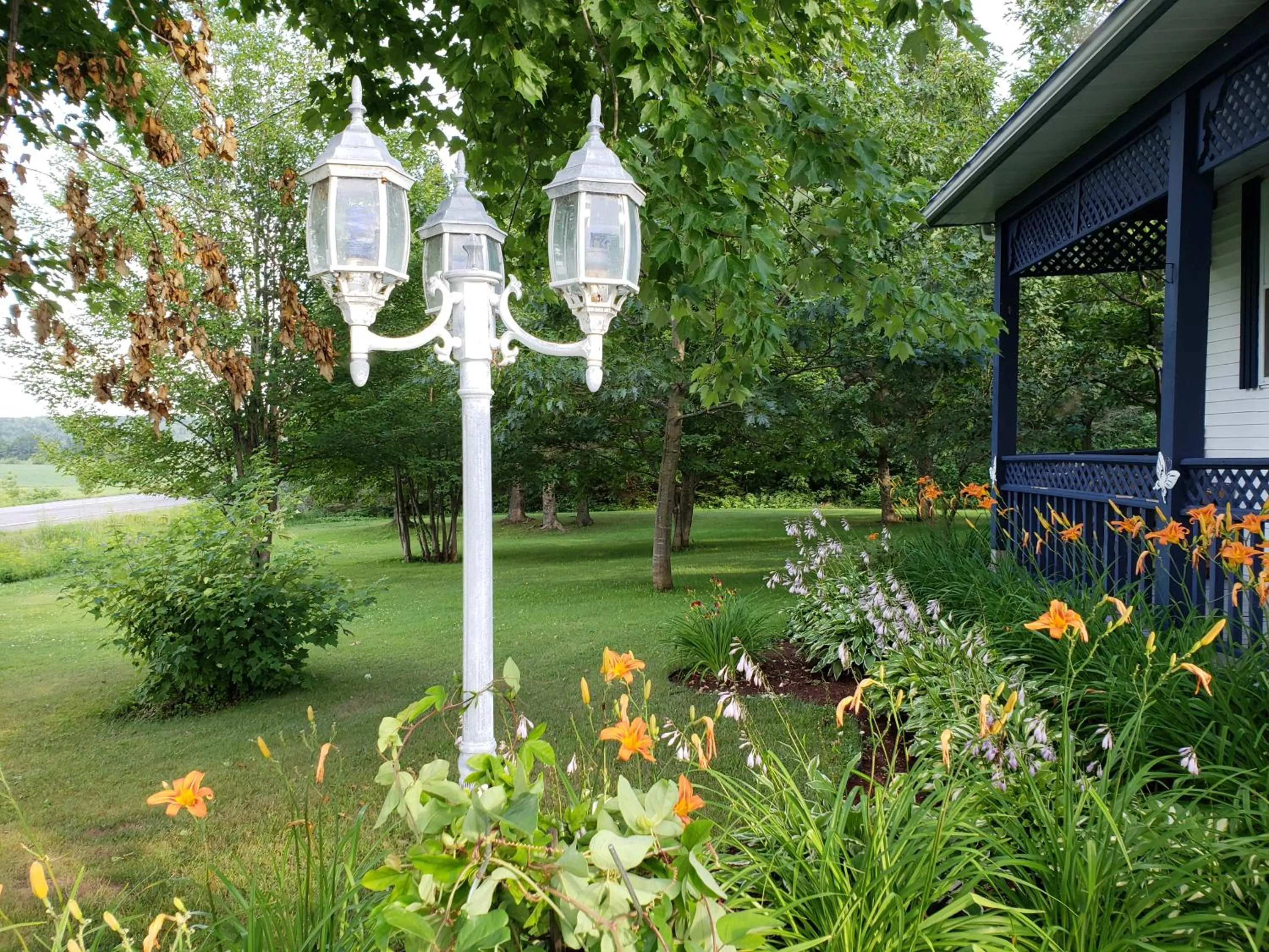 Garden view in Gîte Le Grandelinois