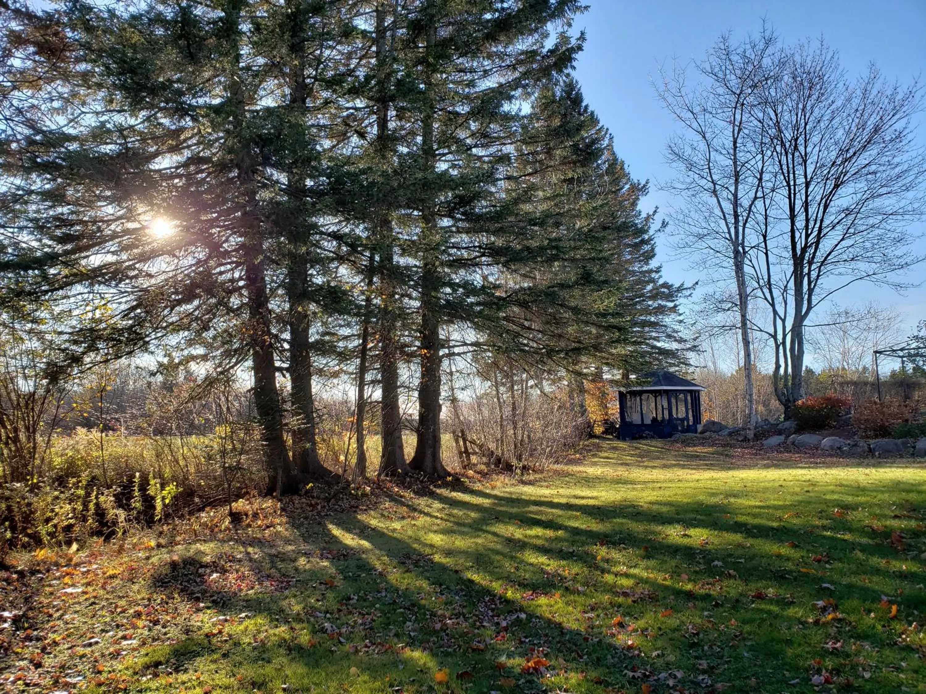 View (from property/room) in Gîte Le Grandelinois