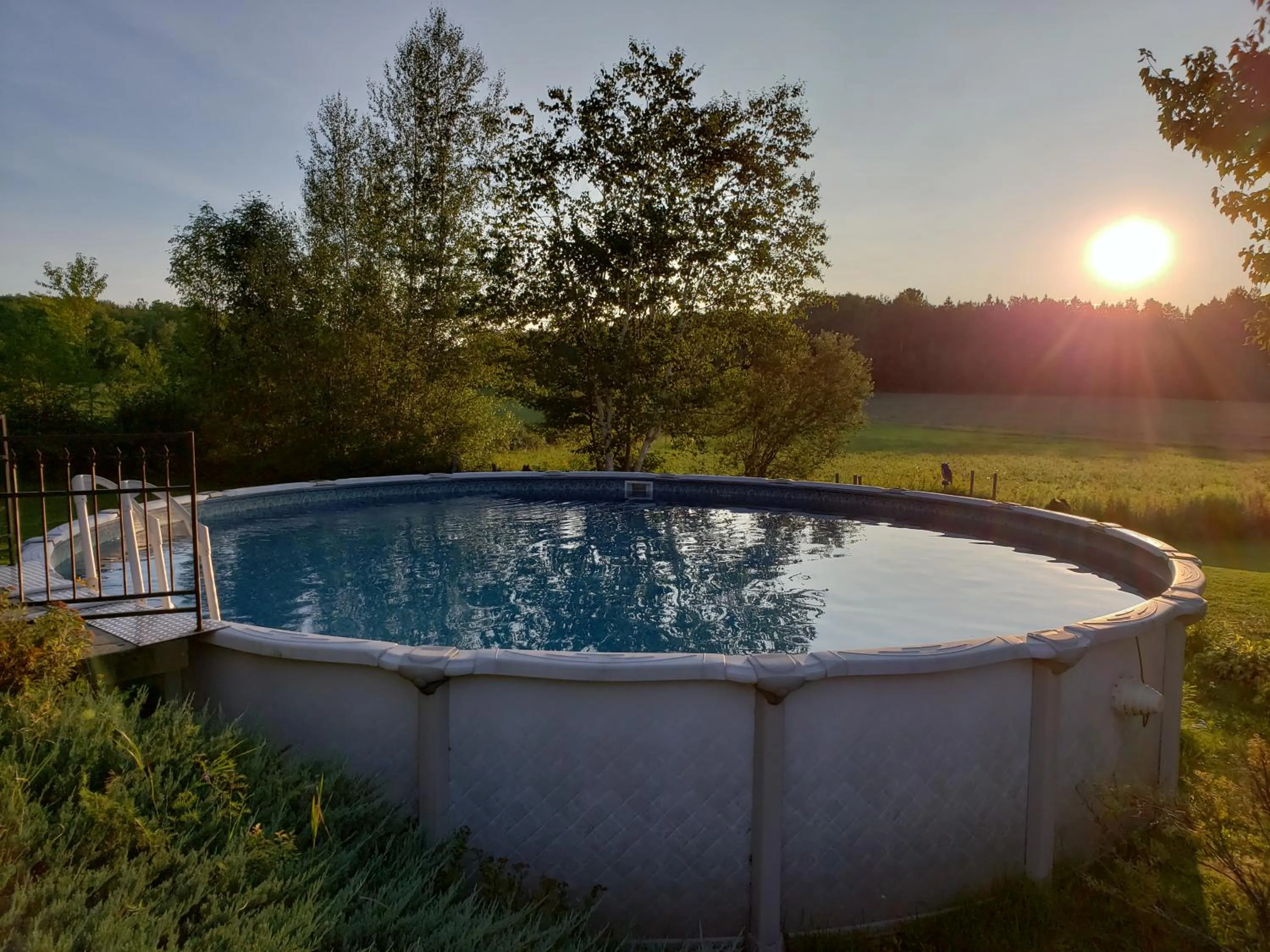 Swimming pool in Gîte Le Grandelinois