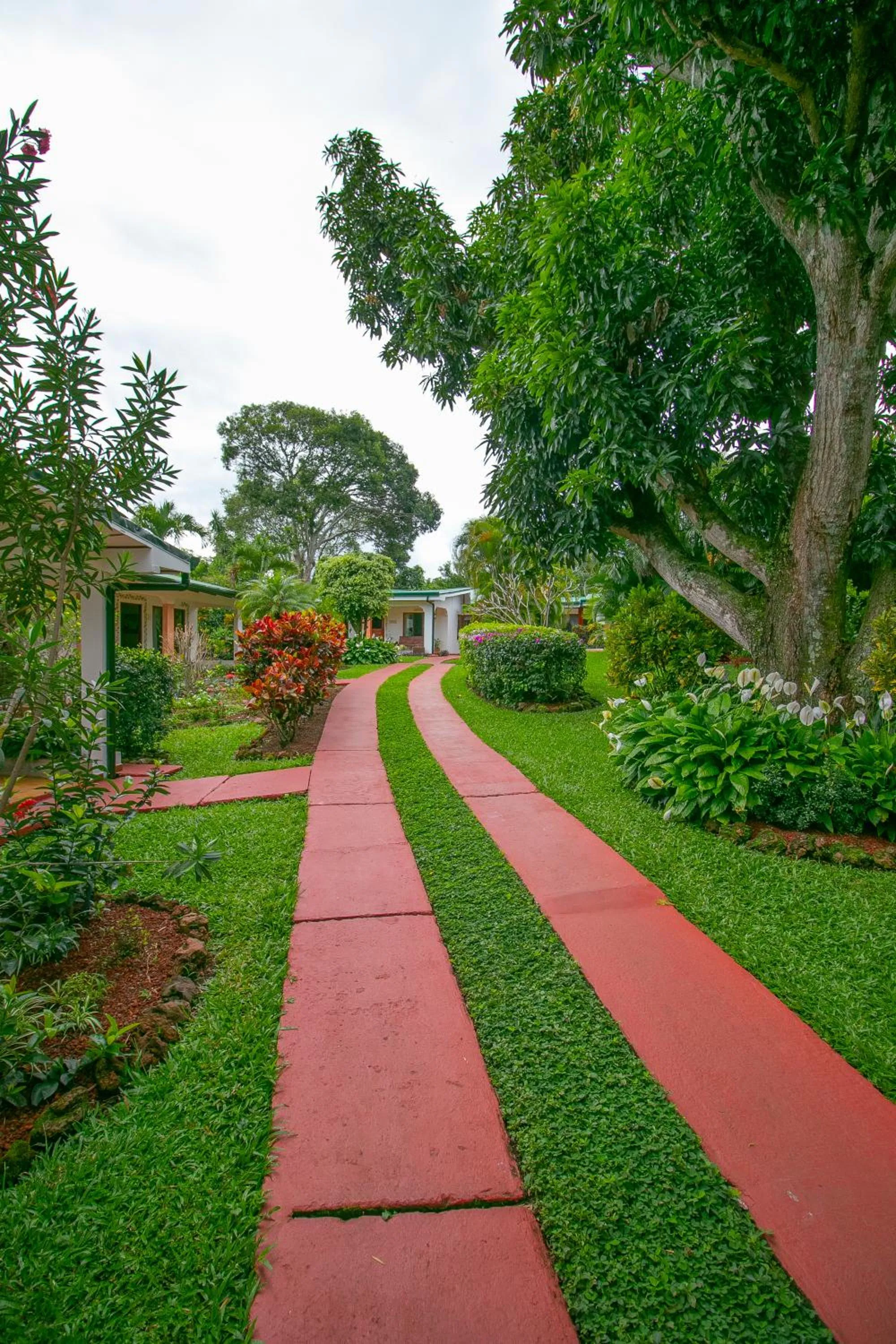 Garden in Hotel La Rosa de America