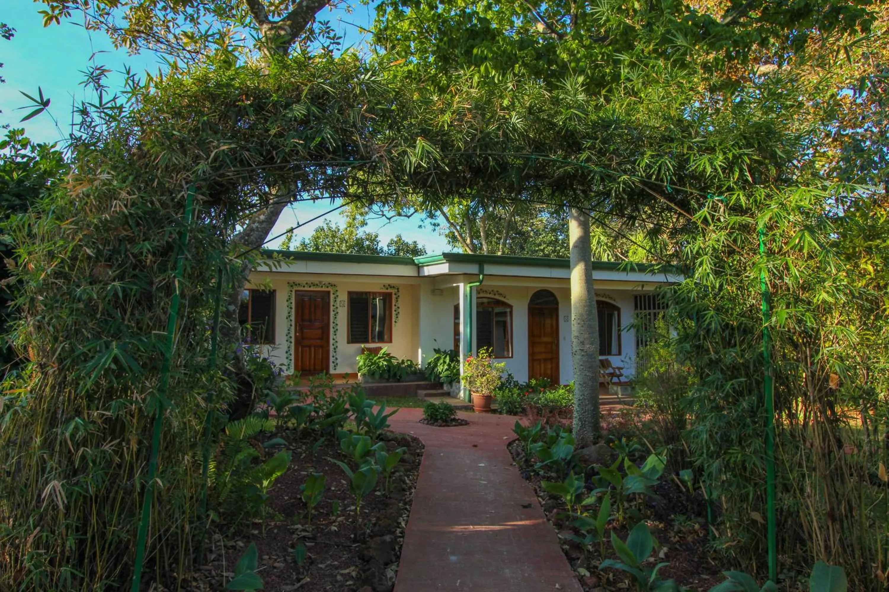 Garden in Hotel La Rosa de America