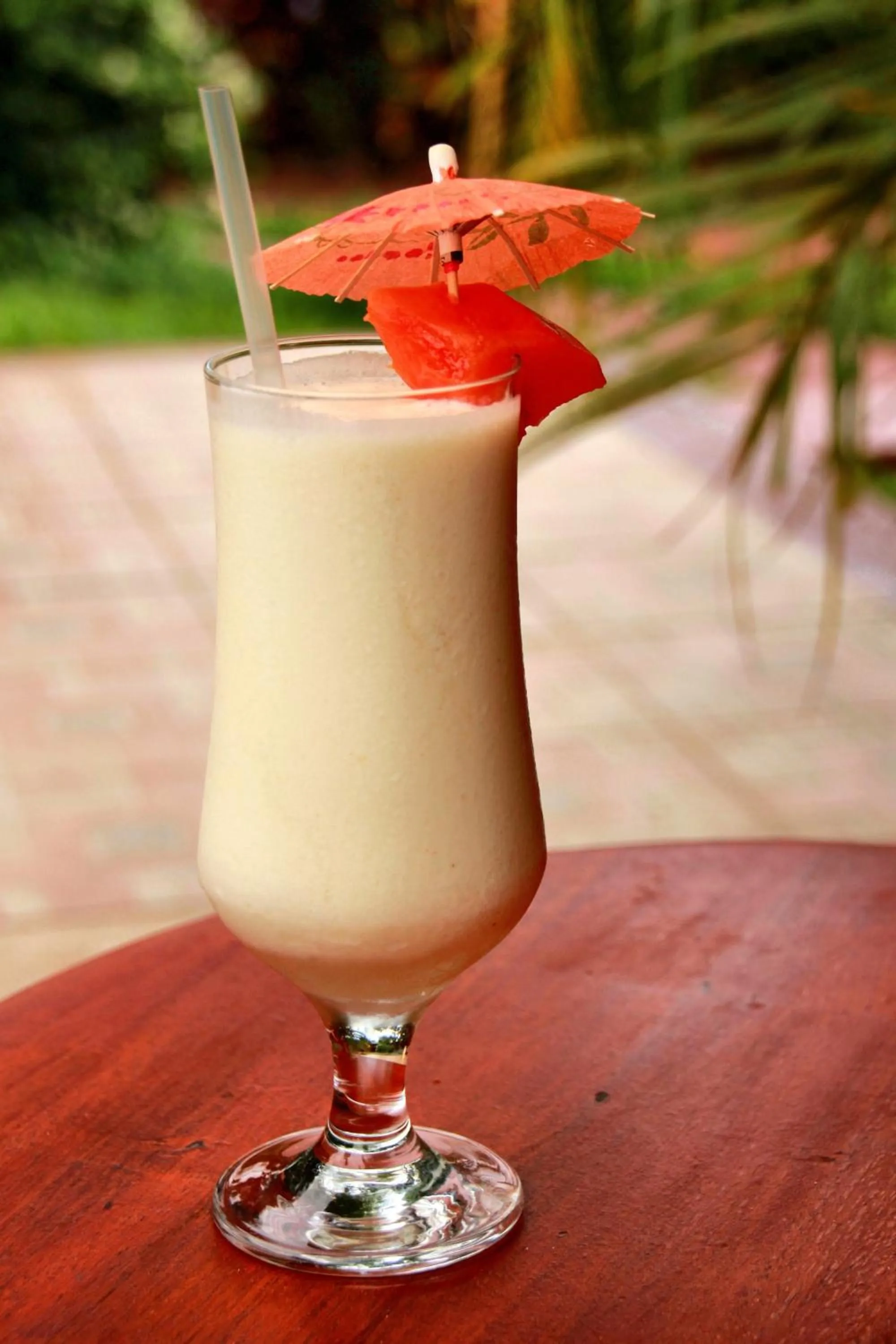 Lounge or bar in Hotel La Rosa de America