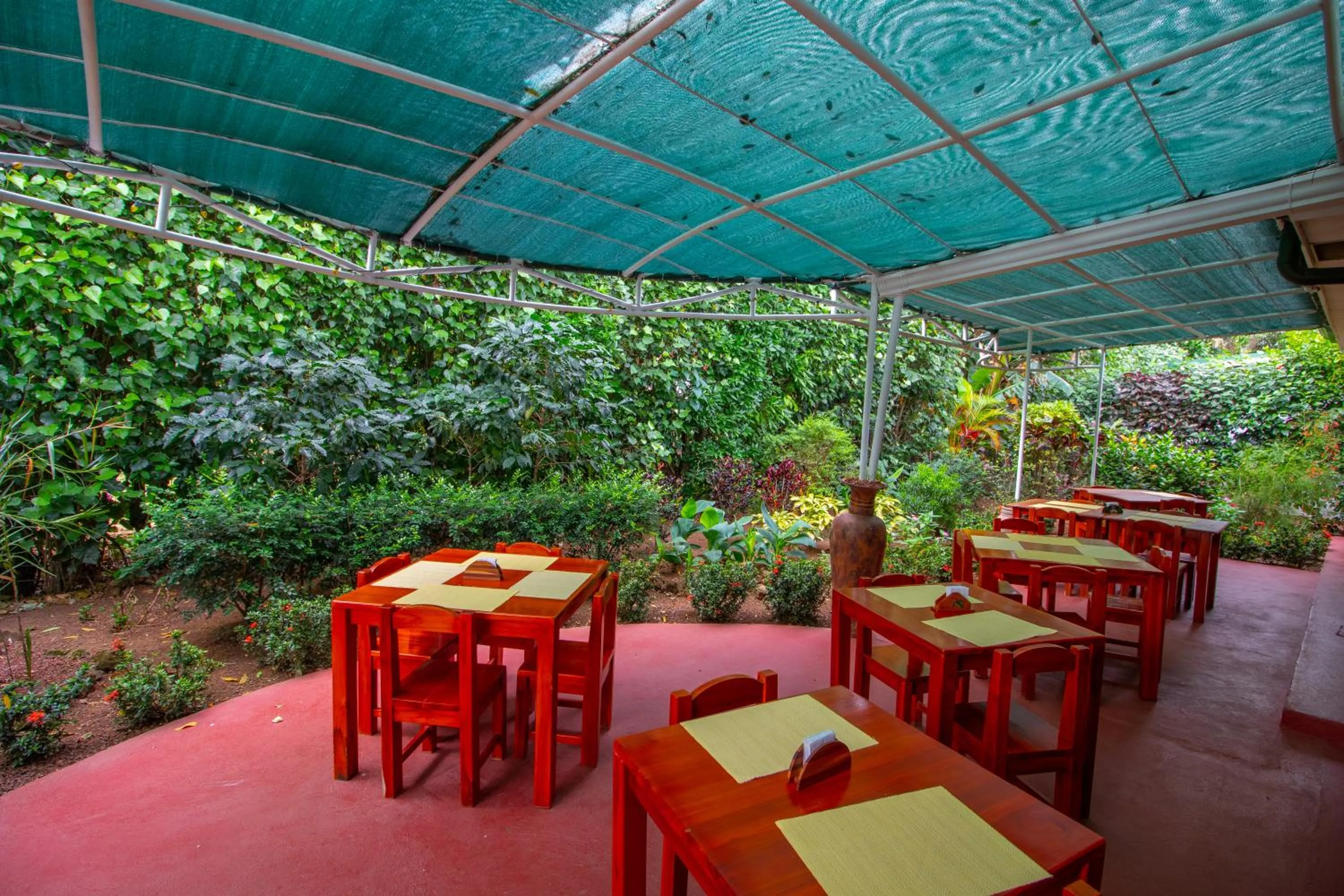 Patio in Hotel La Rosa de America