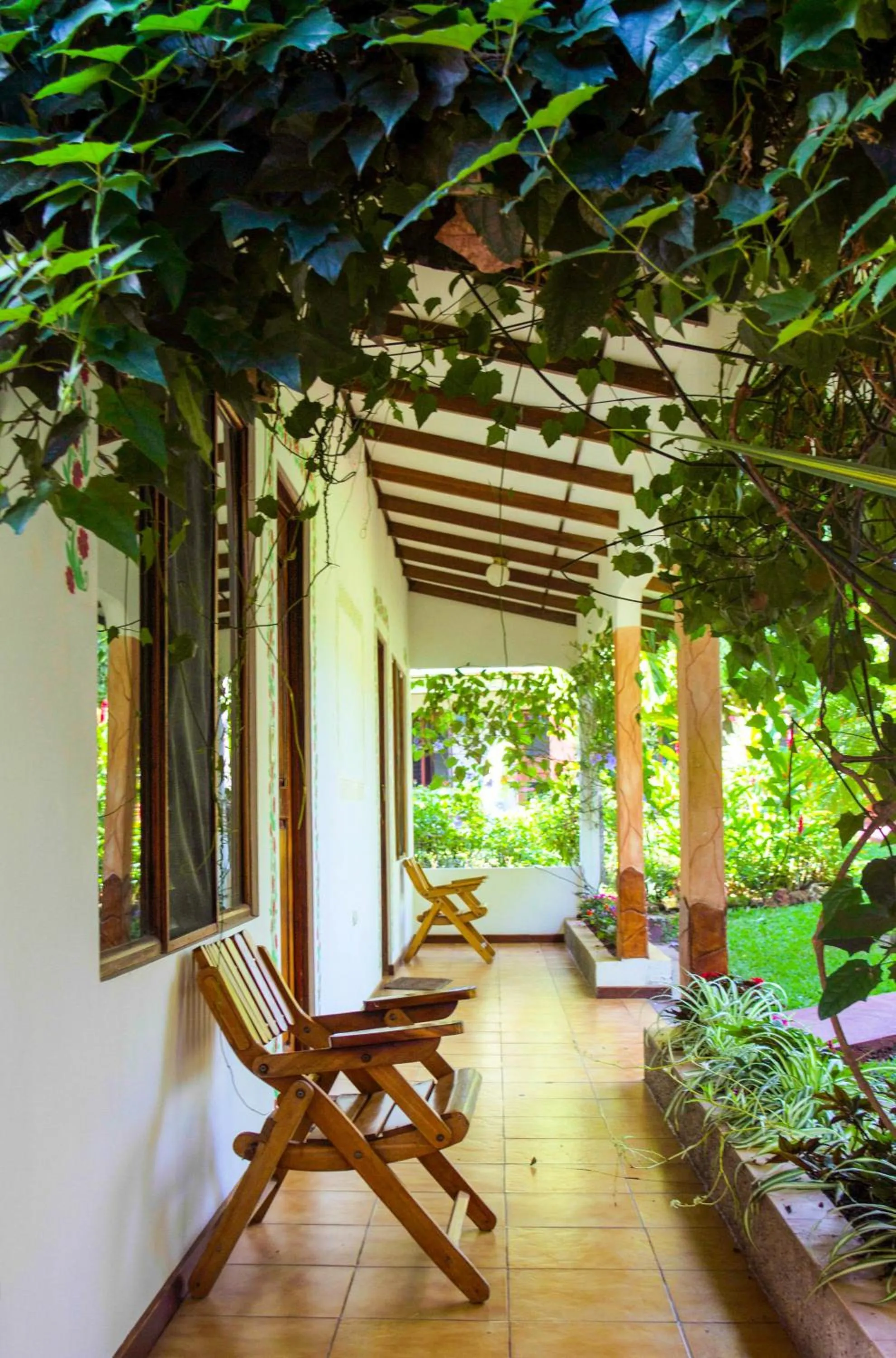 Patio in Hotel La Rosa de America