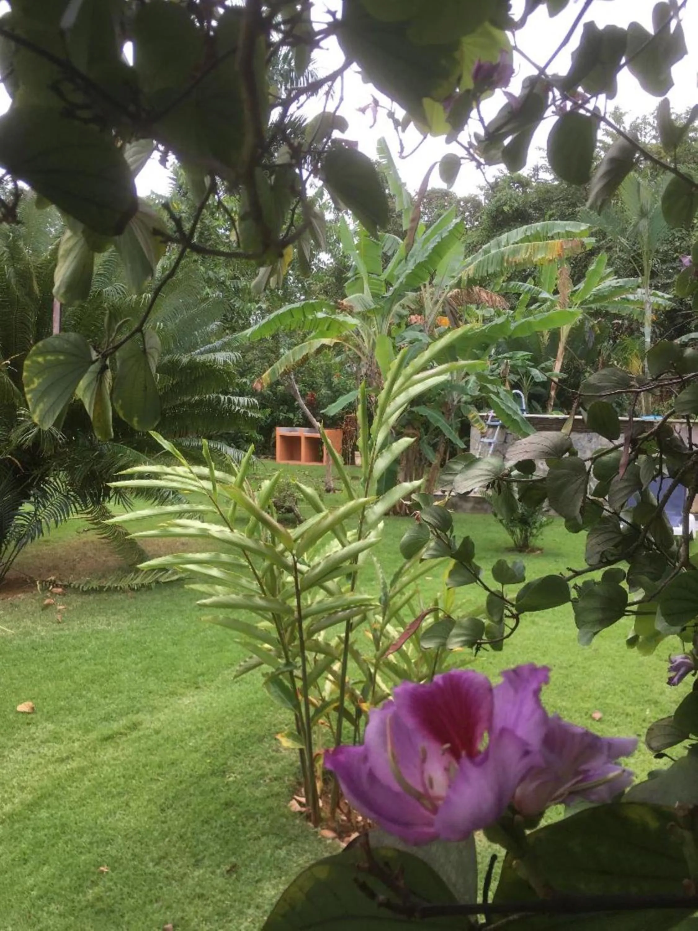 Garden view in Labellaventura
