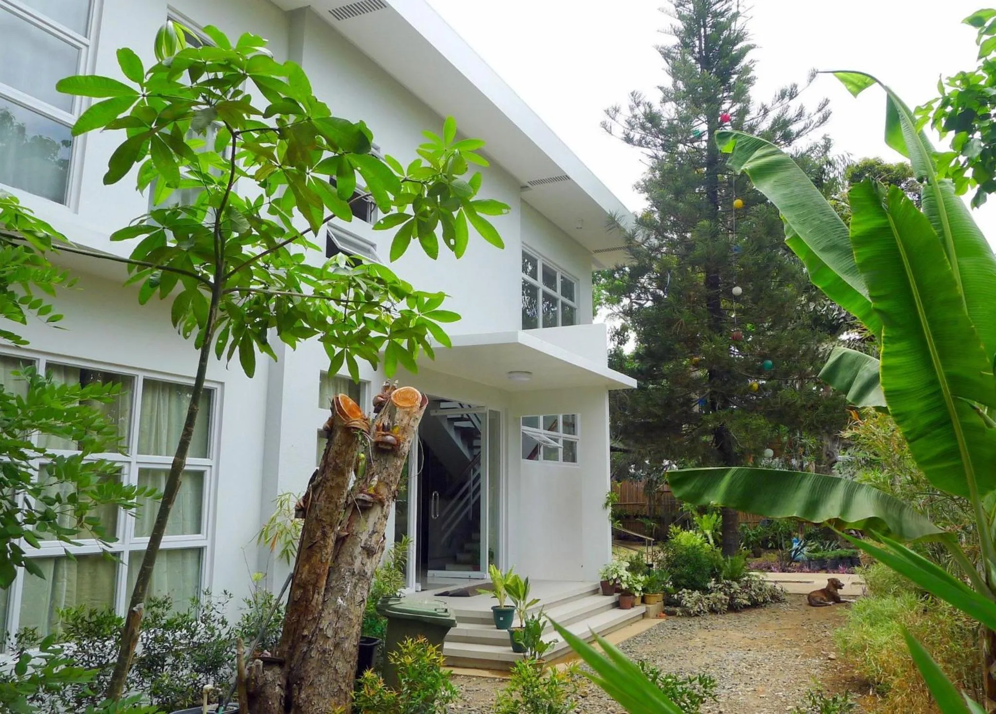 Area and facilities in Greenspace Palawan