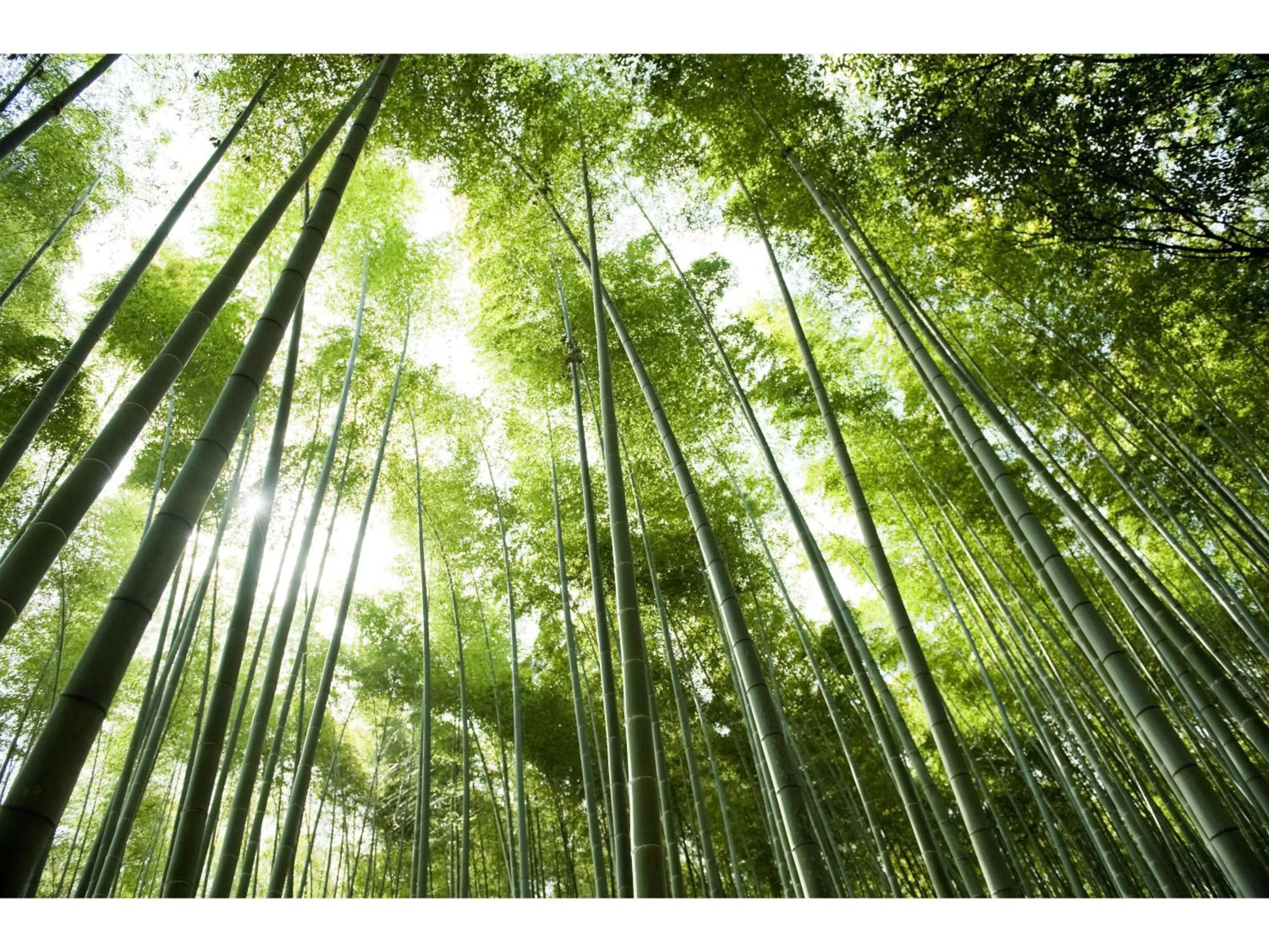 Area and facilities in Ranzan