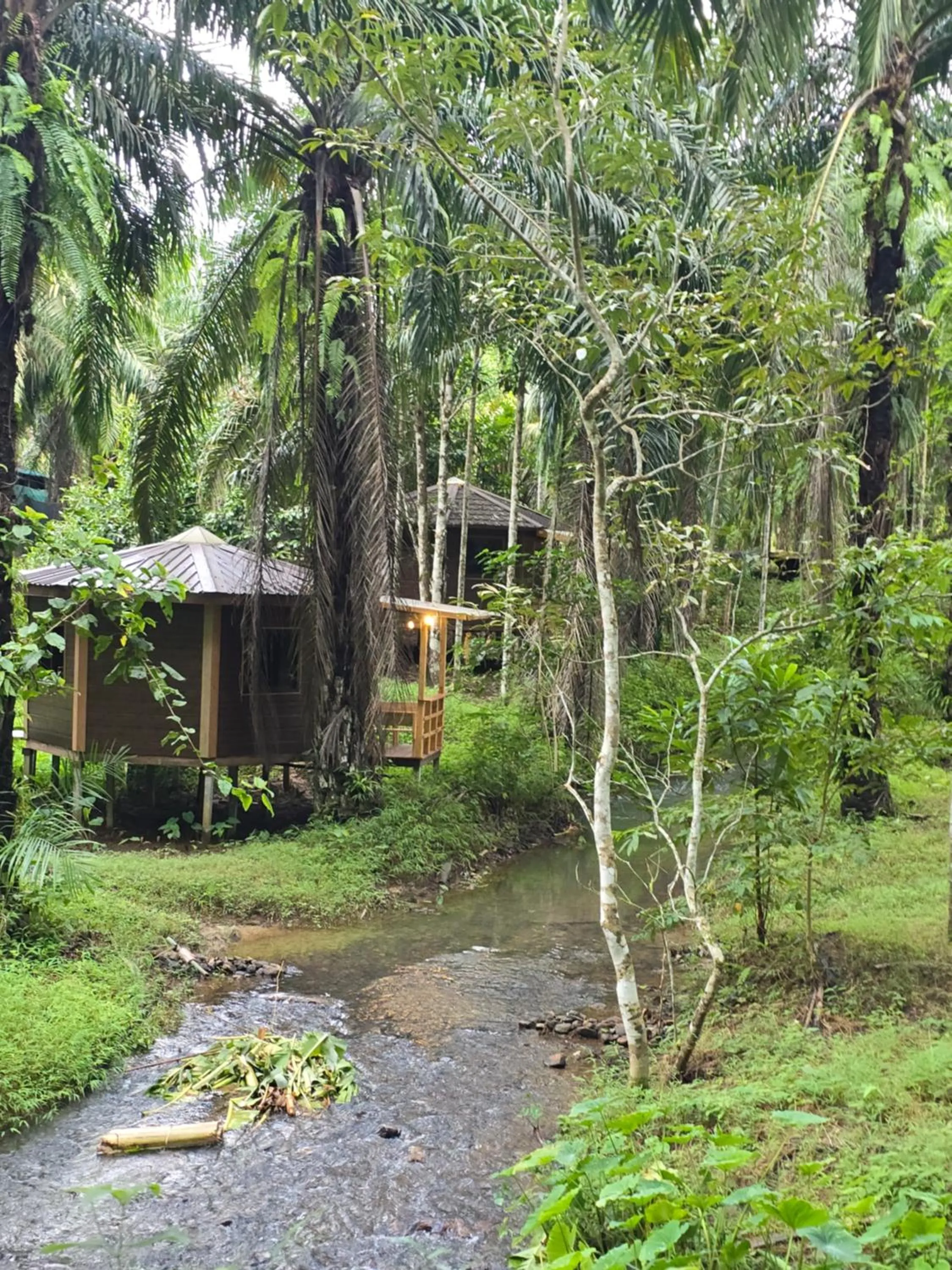 Khao Sok Silver Cliff Resort