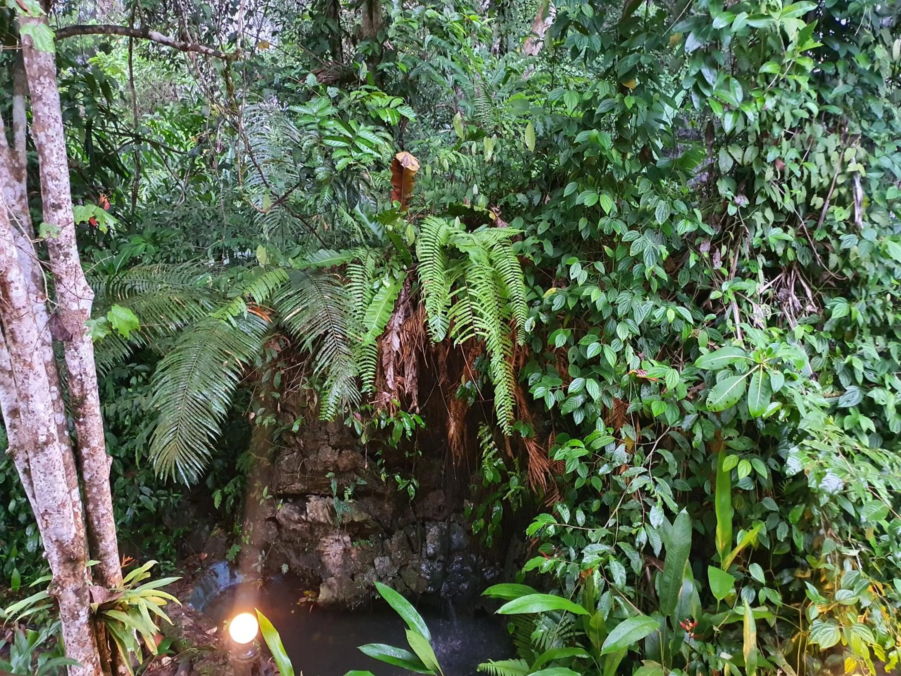 Natural landscape in Khao Sok Silver Cliff Resort