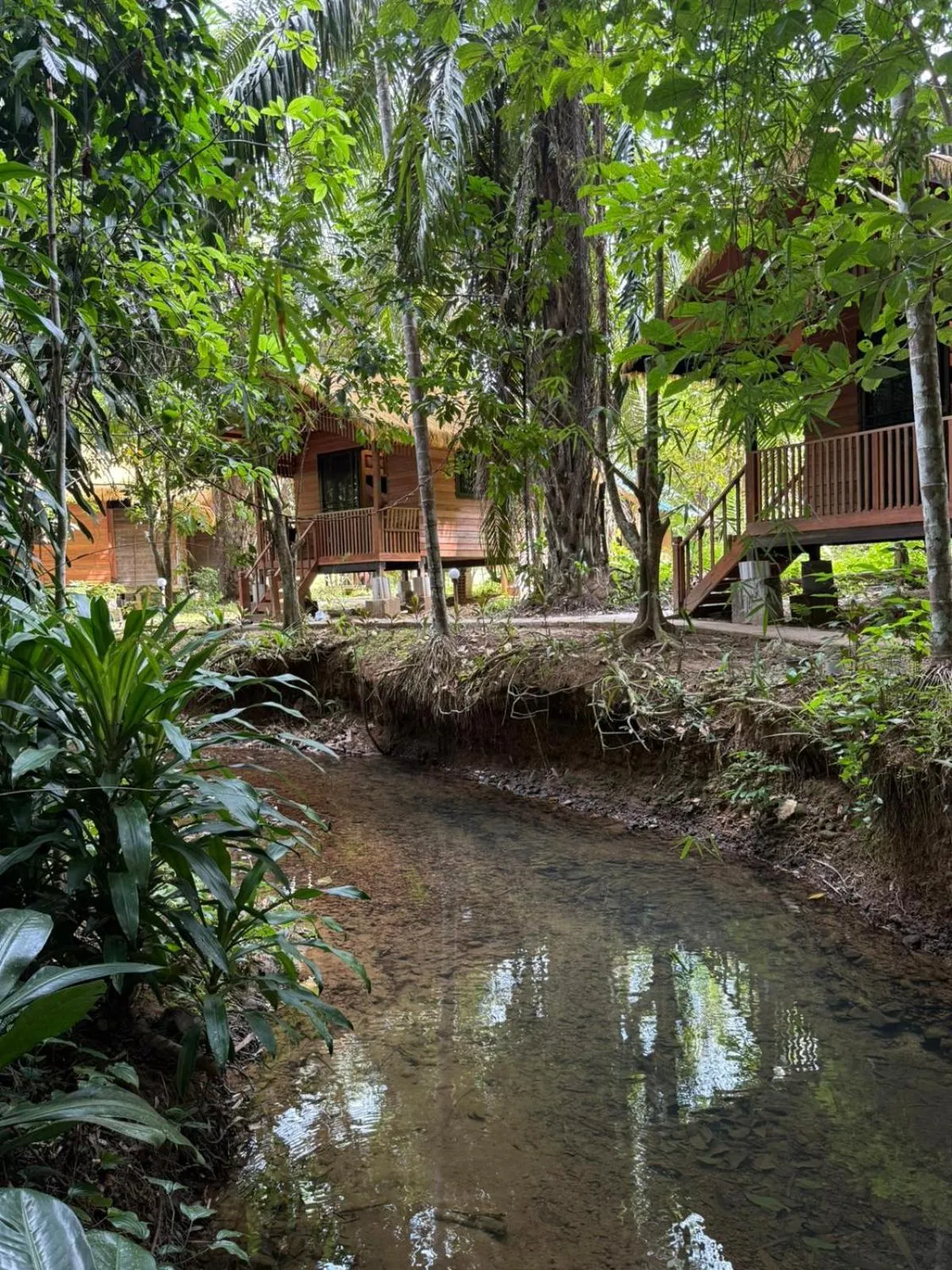 Khao Sok Silver Cliff Resort