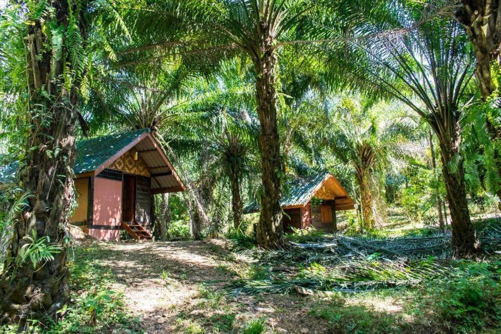 Natural landscape in Khao Sok Silver Cliff Resort