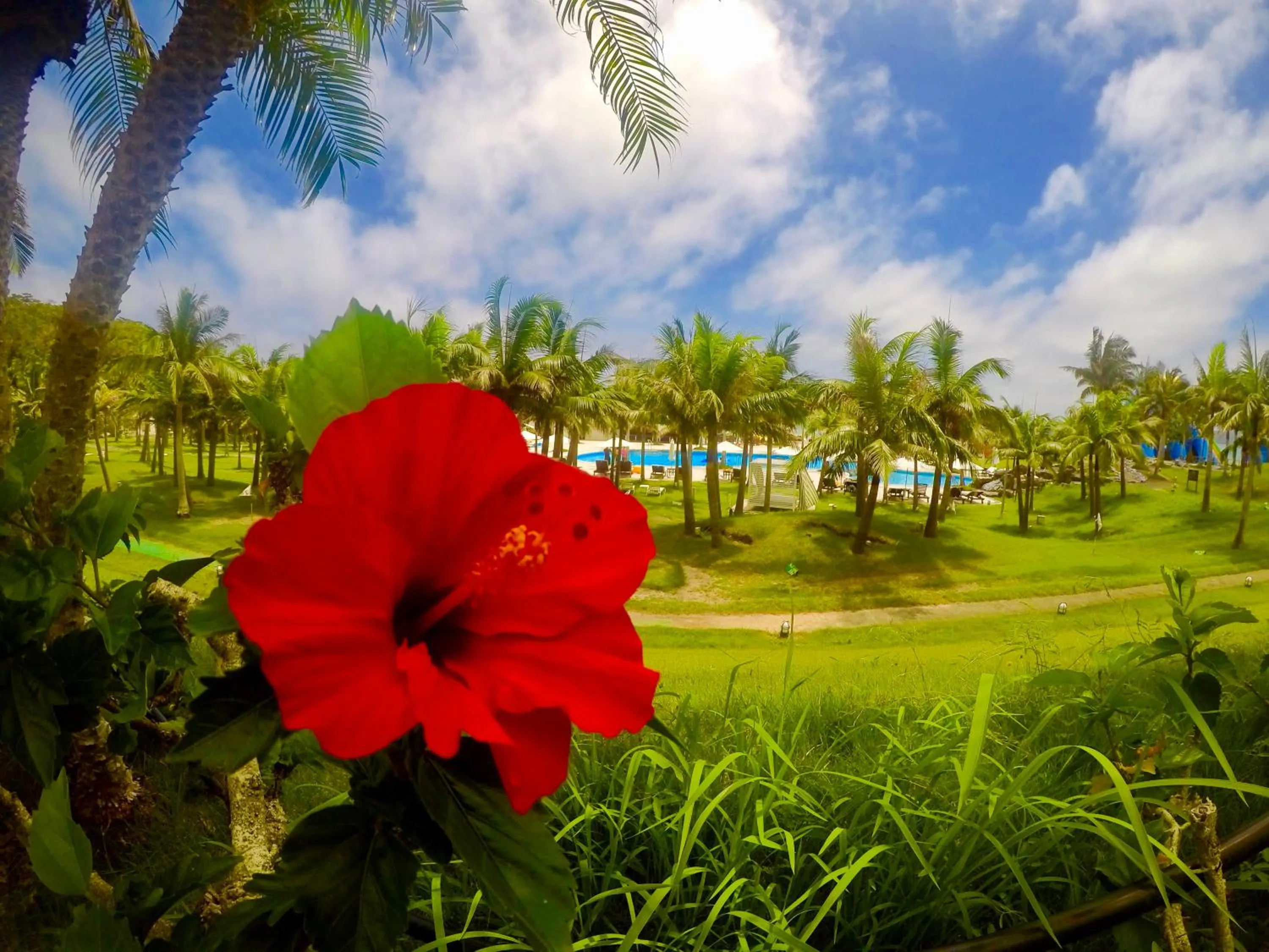 Garden view in Kanucha Bay Hotel & Villas