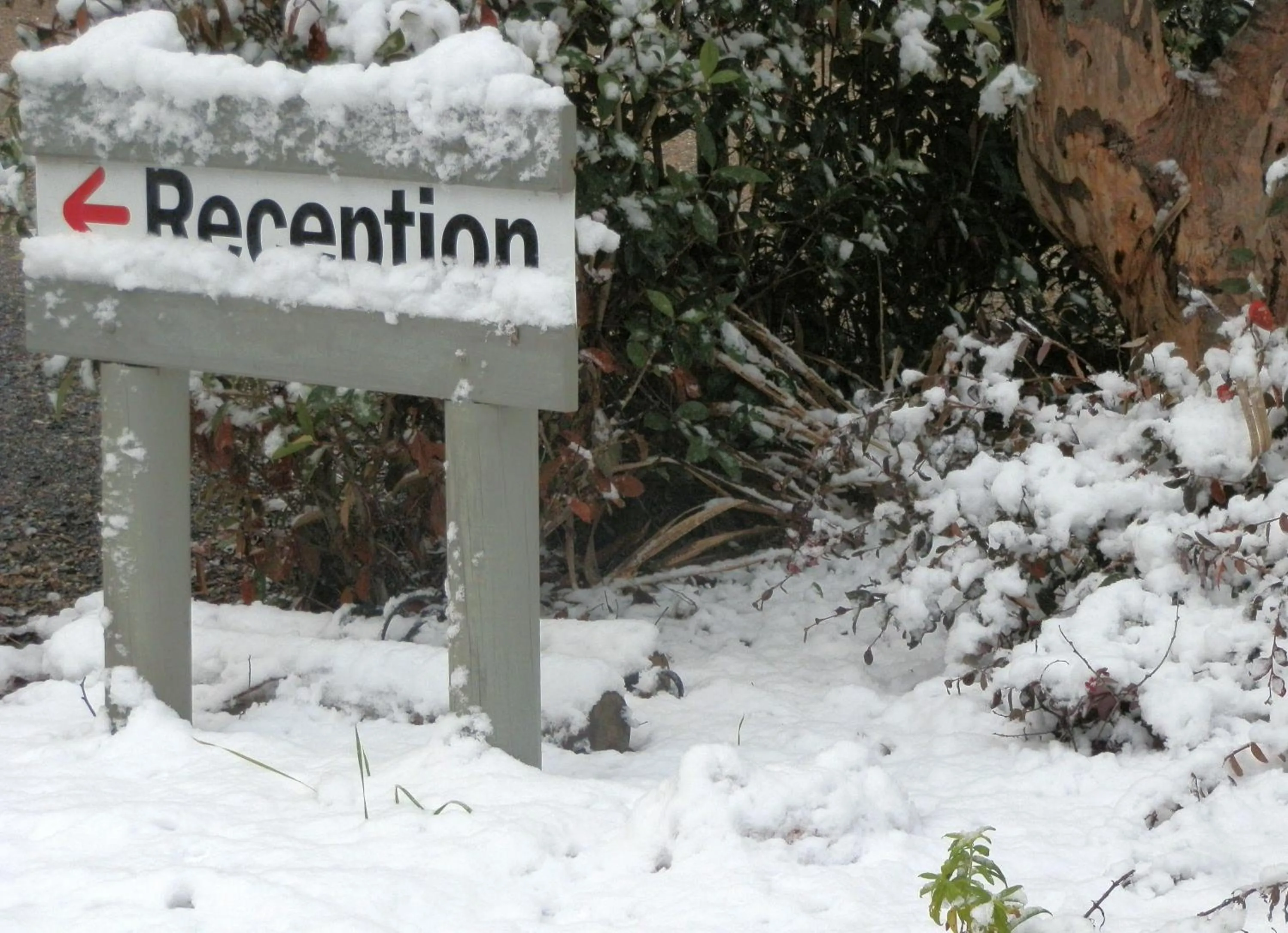 Winter in 31 The Rocks