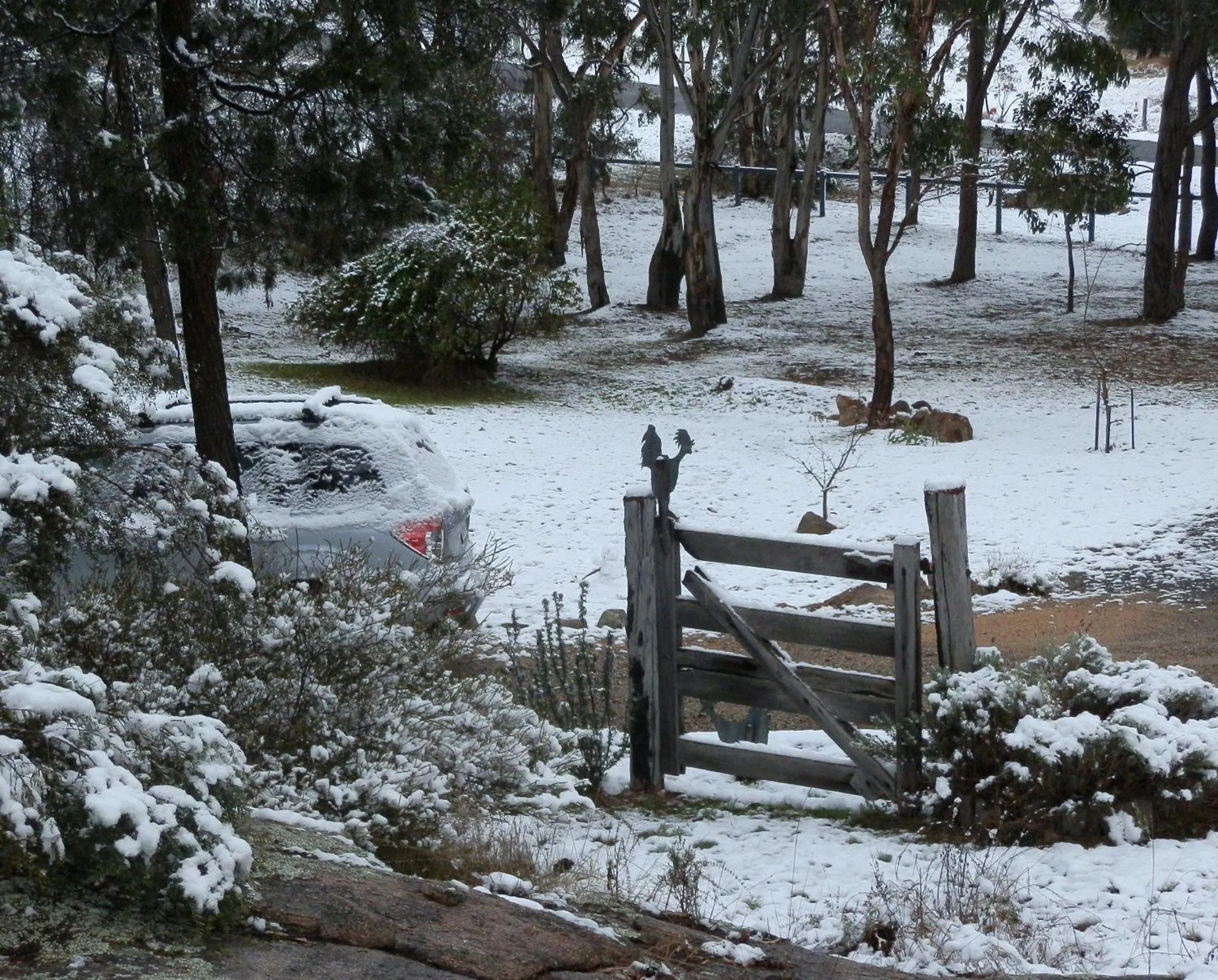 Natural landscape in 31 The Rocks