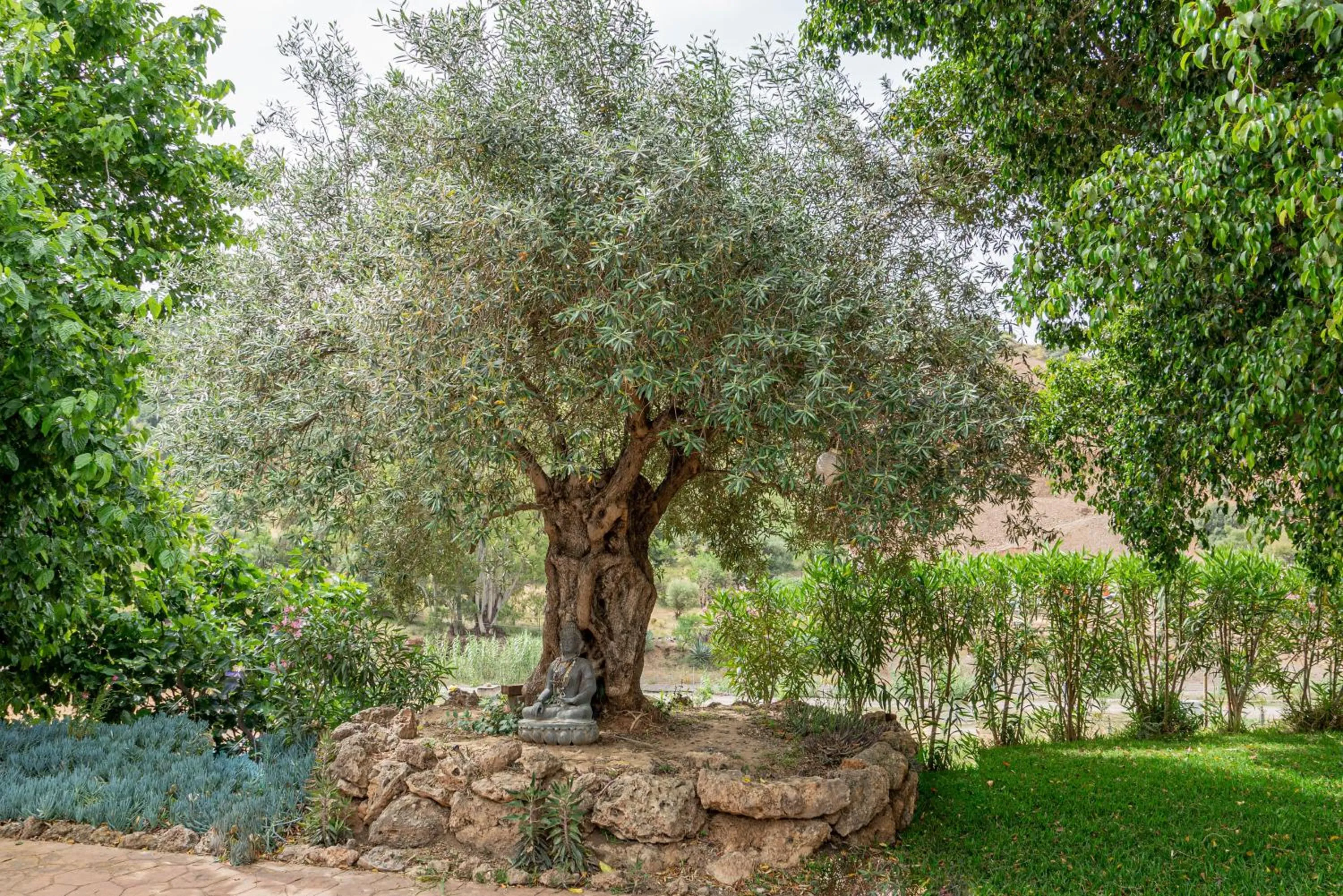 Garden in Finca Las Hierbas B&B