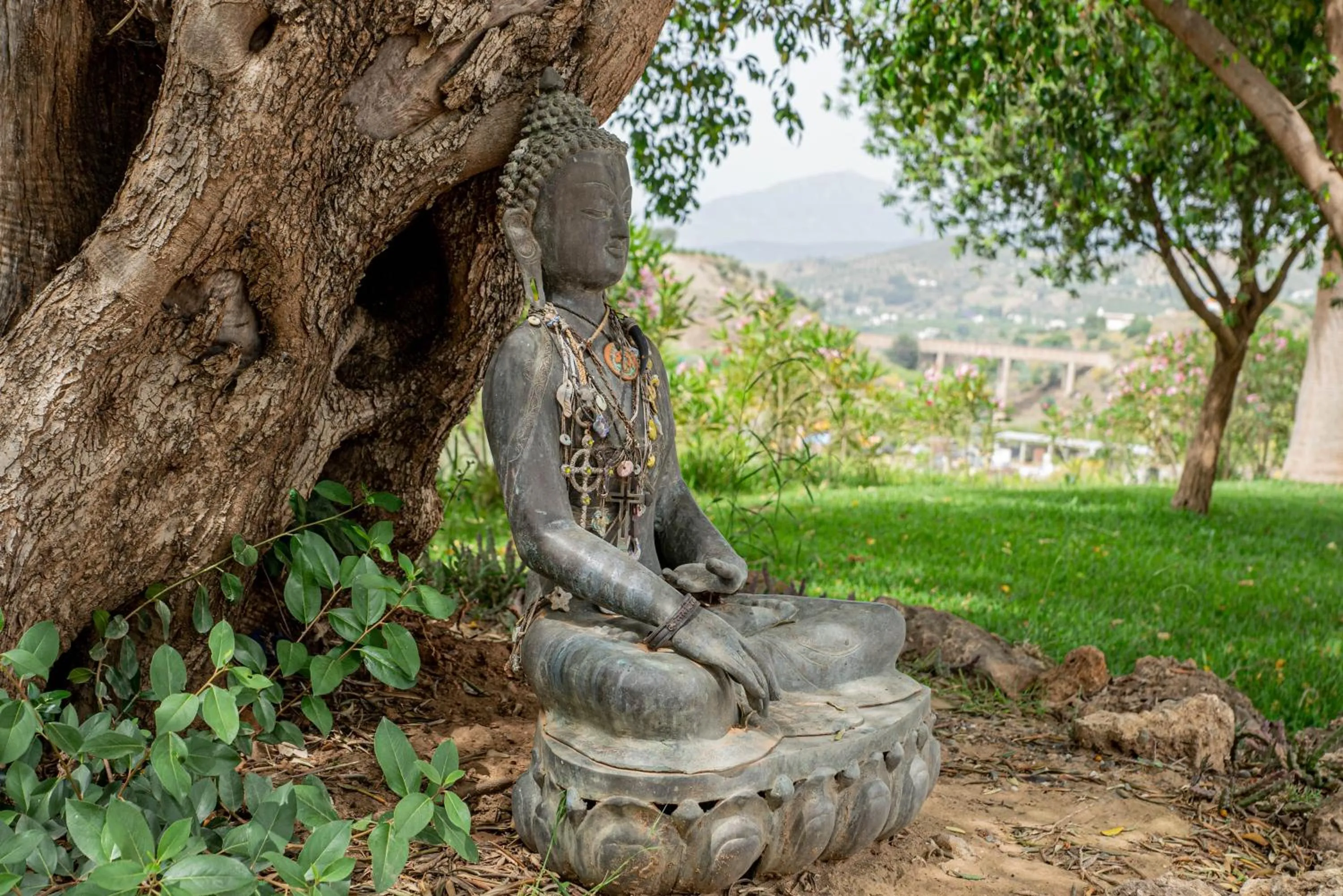 Garden in Finca Las Hierbas B&B