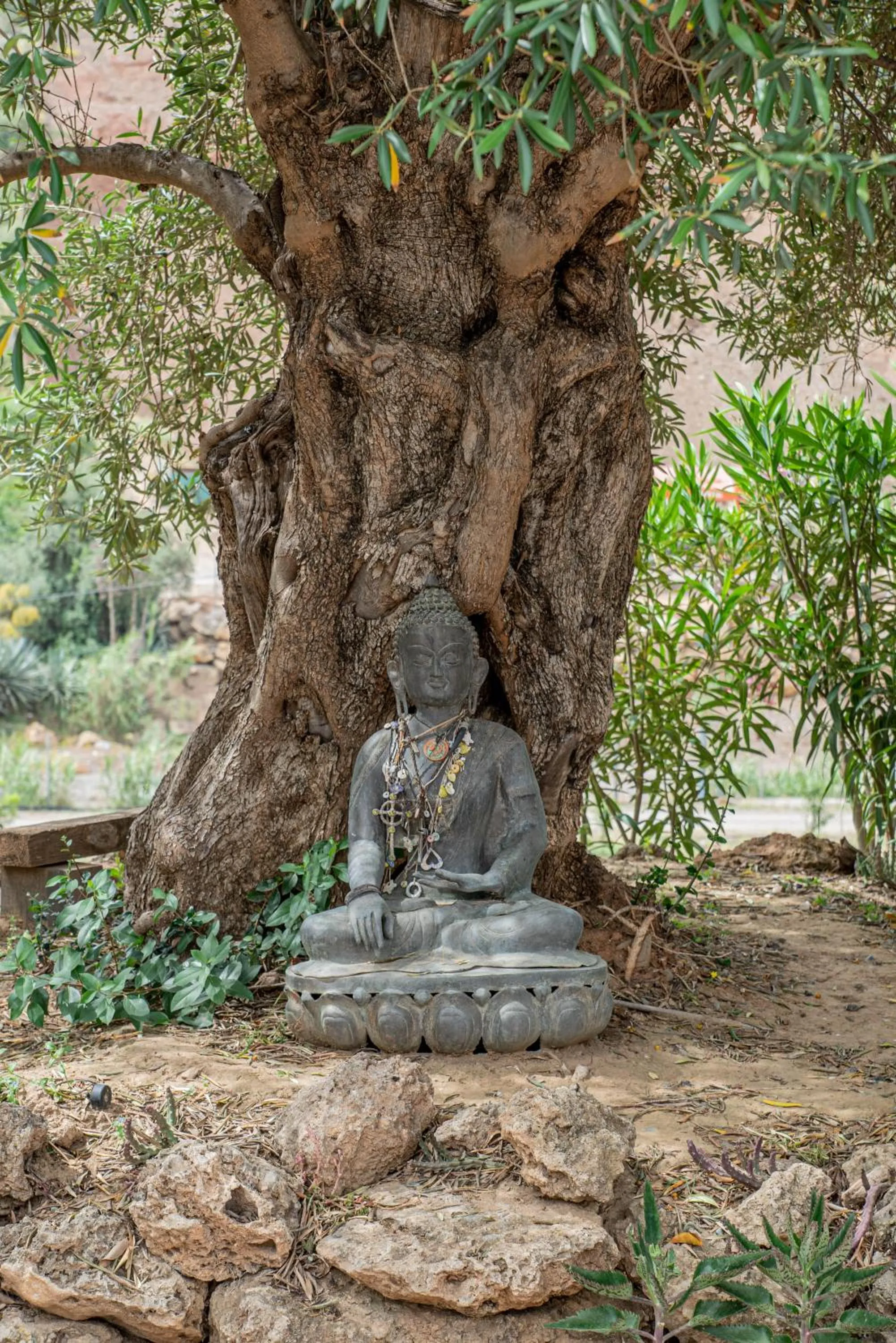 Garden in Finca Las Hierbas B&B