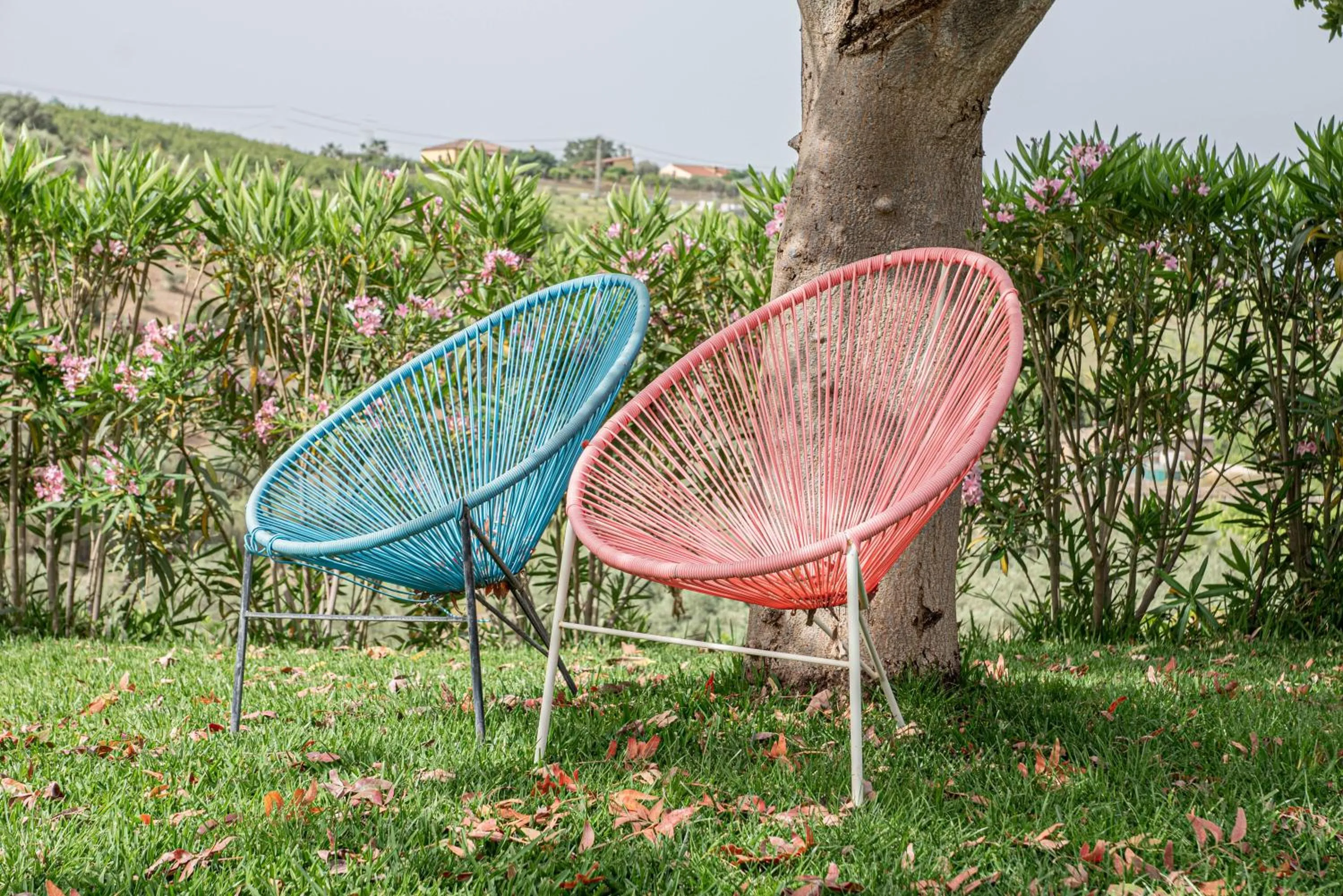 Garden in Finca Las Hierbas B&B