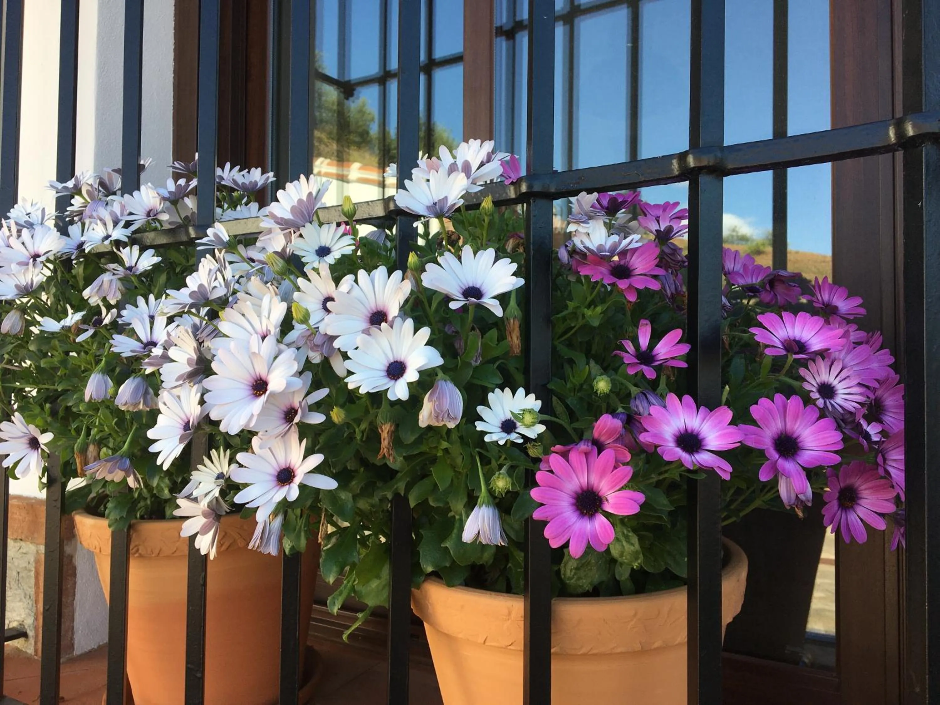 Decorative detail in Finca Las Hierbas B&B