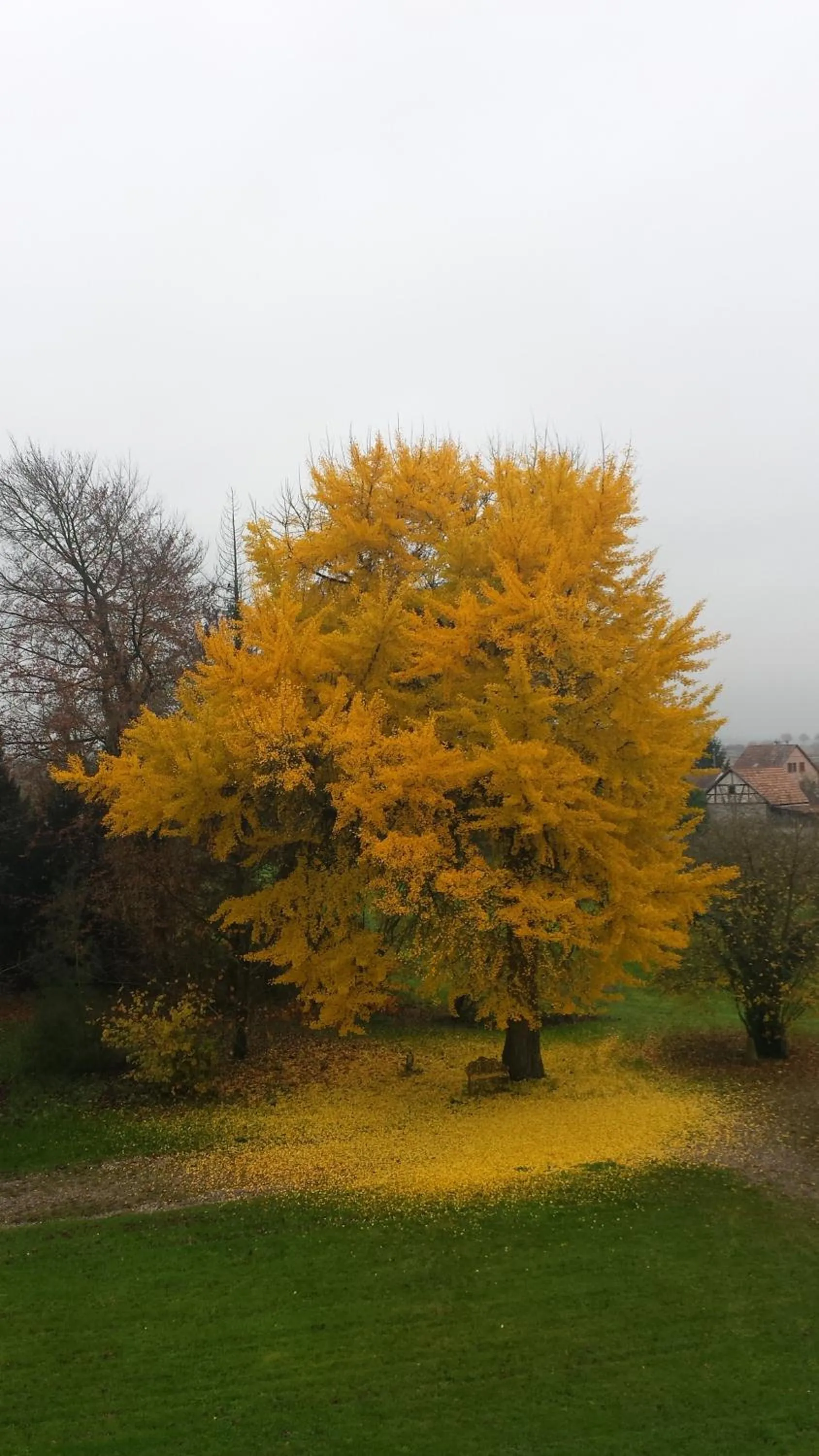 Other in Château De Werde