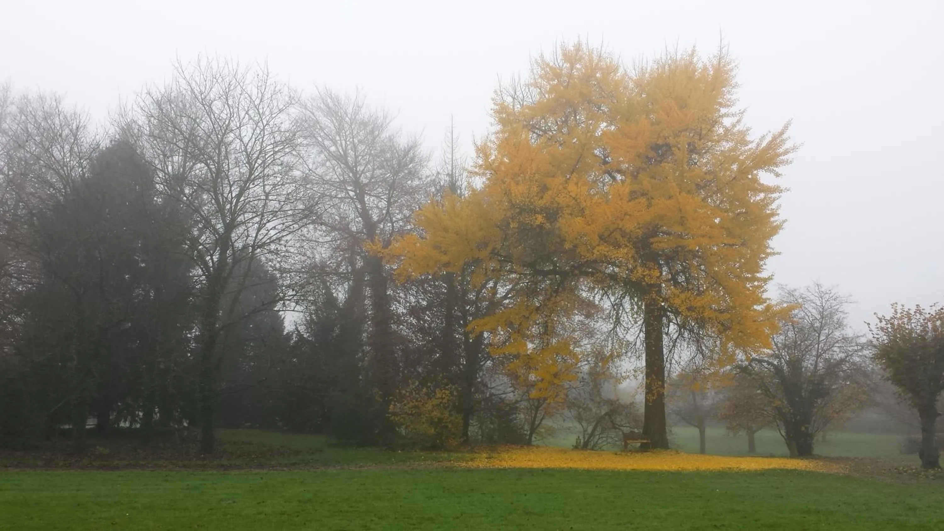 Other in Château De Werde