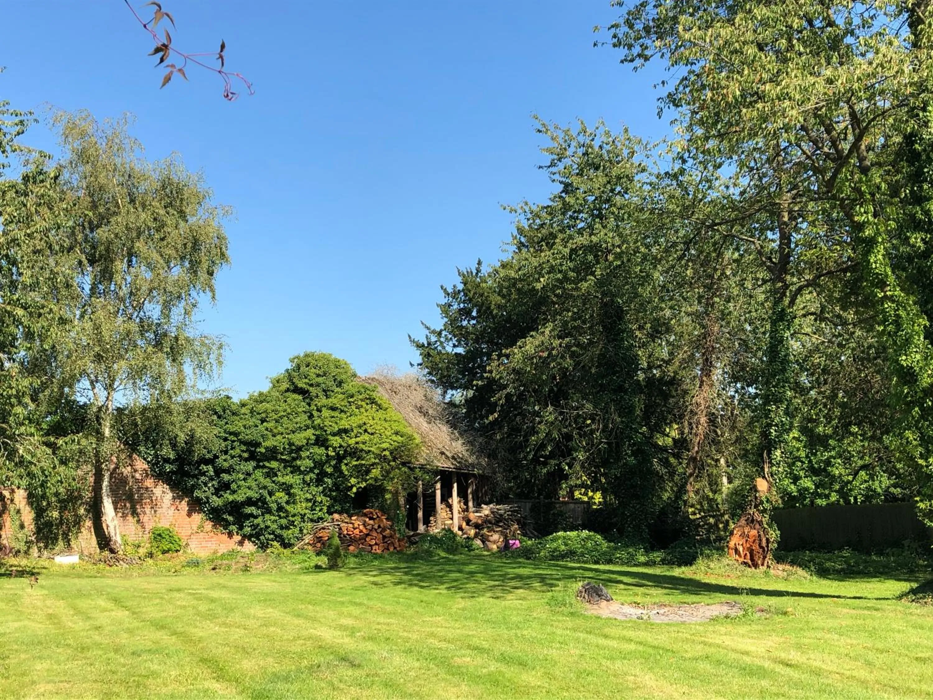 Garden in Caynham Court