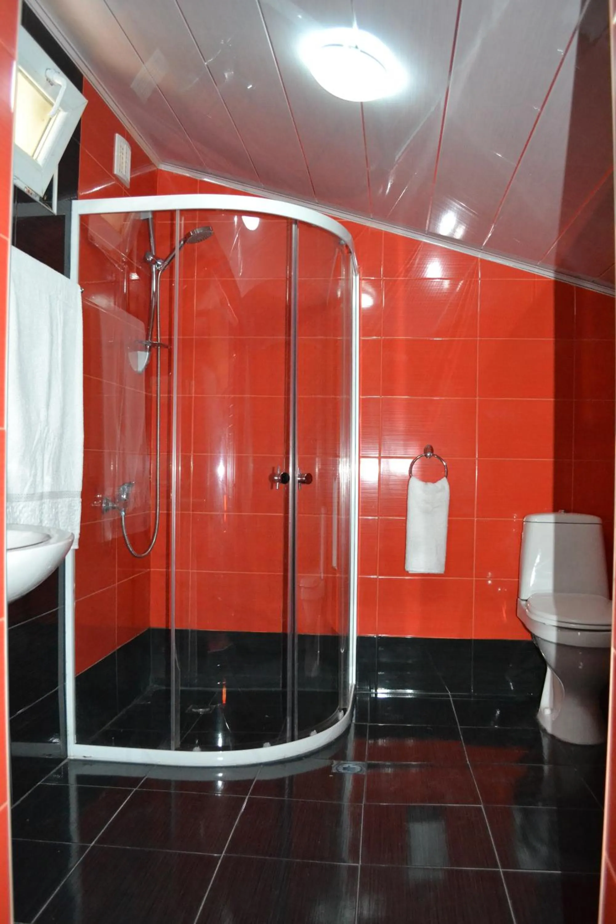 Night in Hotel Isaka