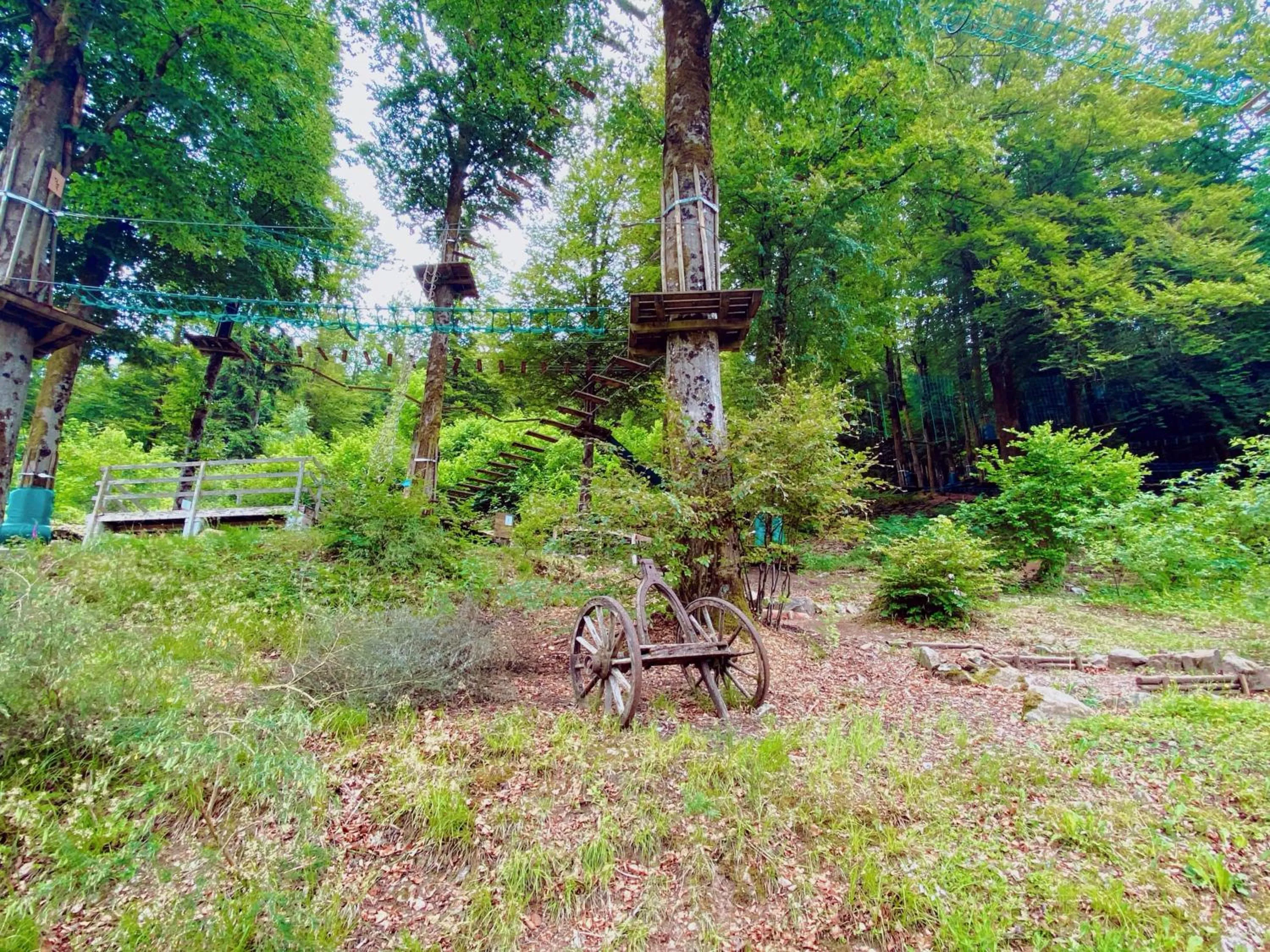 Activities in Le Grand Hotel de Plombières by Popinns