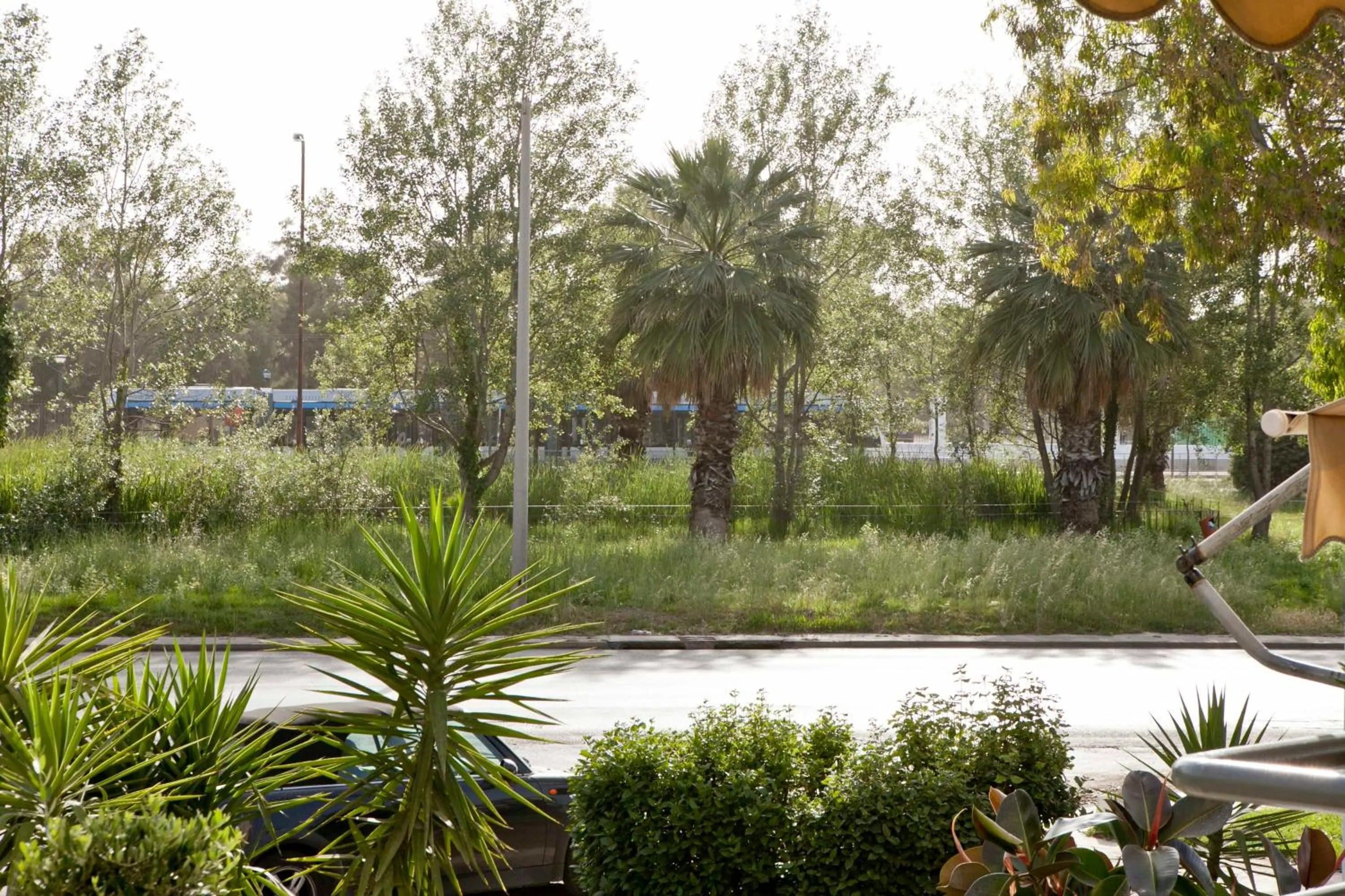 Garden in Minavra Hotel