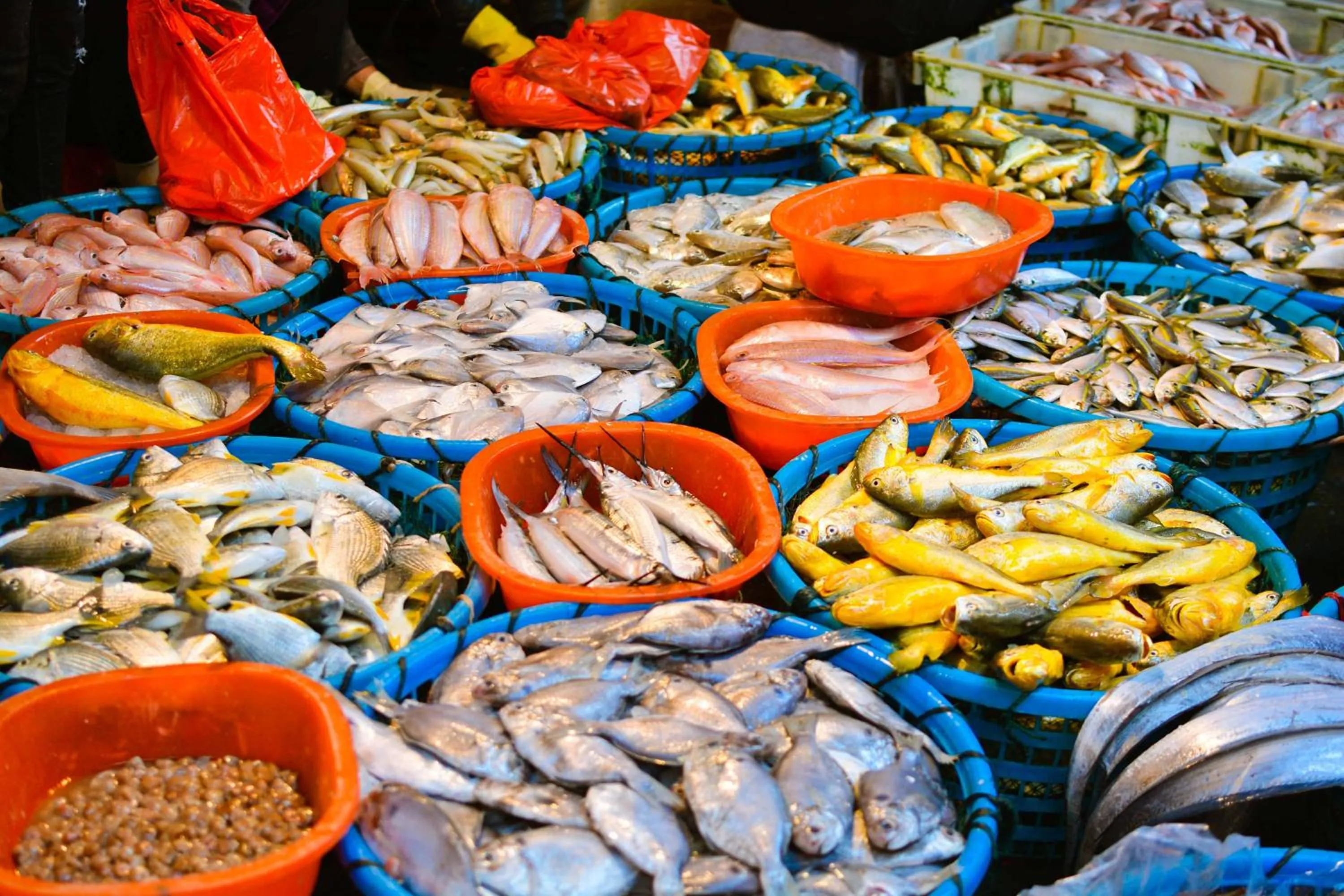 Nearby landmark in Hotel Indigo Xiamen Harbour by IHG