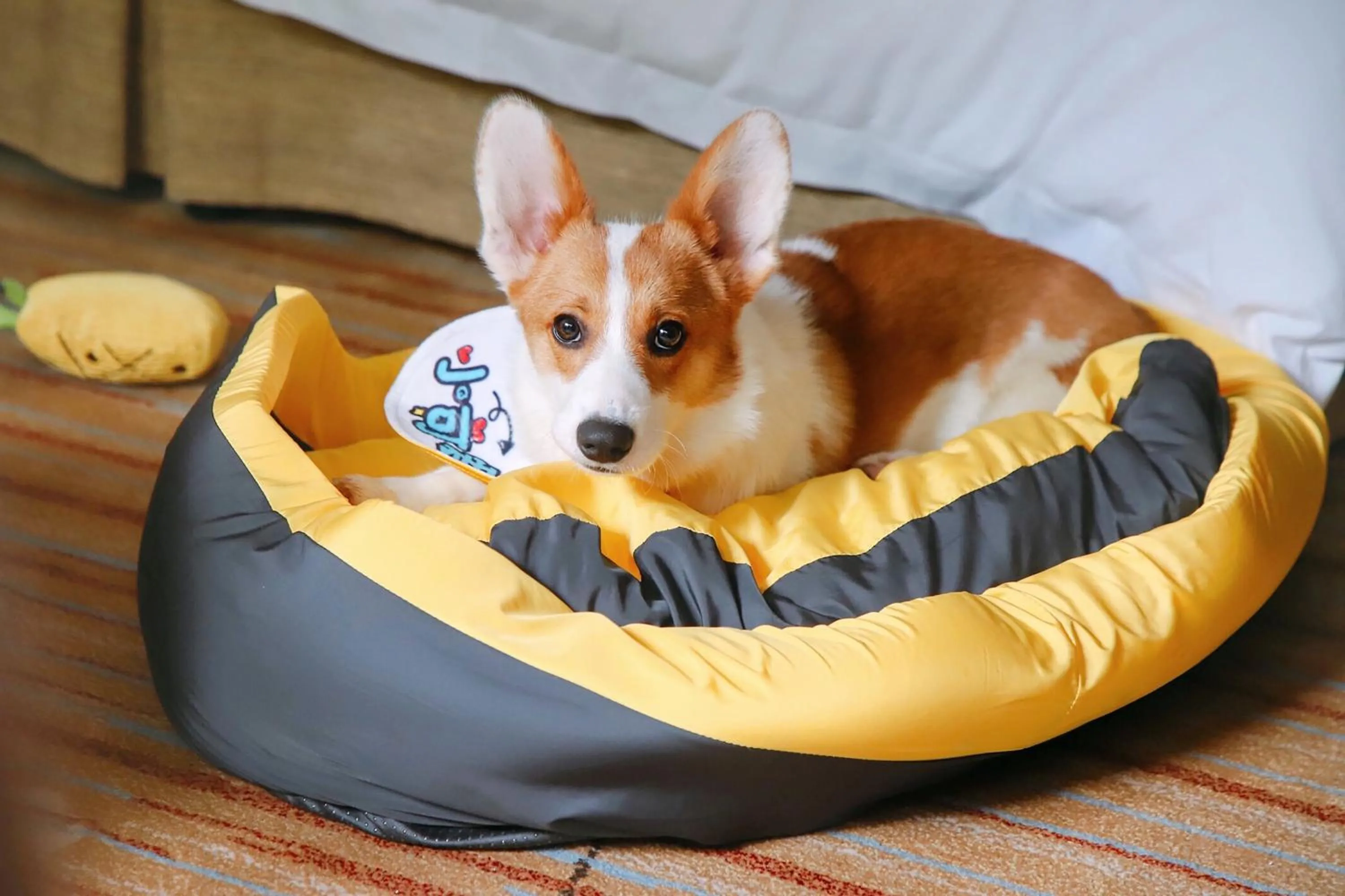 Photo of the whole room in Holiday Inn Resort Chaohu Hot Spring by IHG