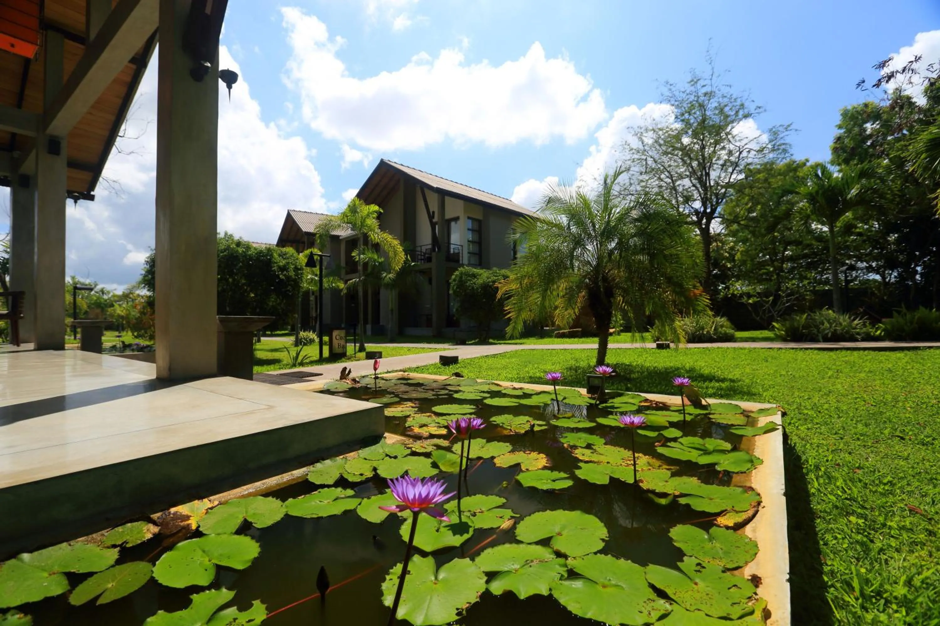 Garden in Chaarya Resort & Spa