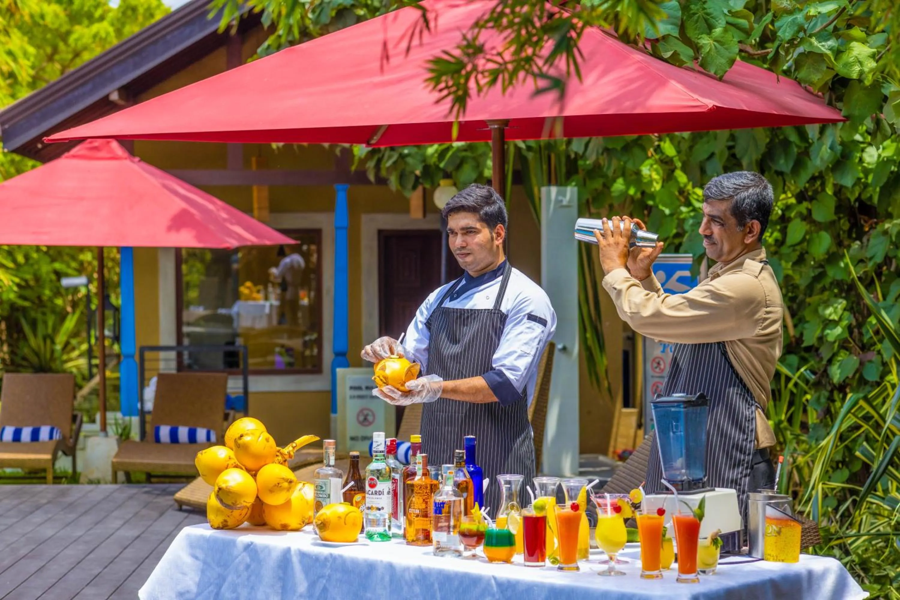 Lounge or bar in Chaarya Resort & Spa