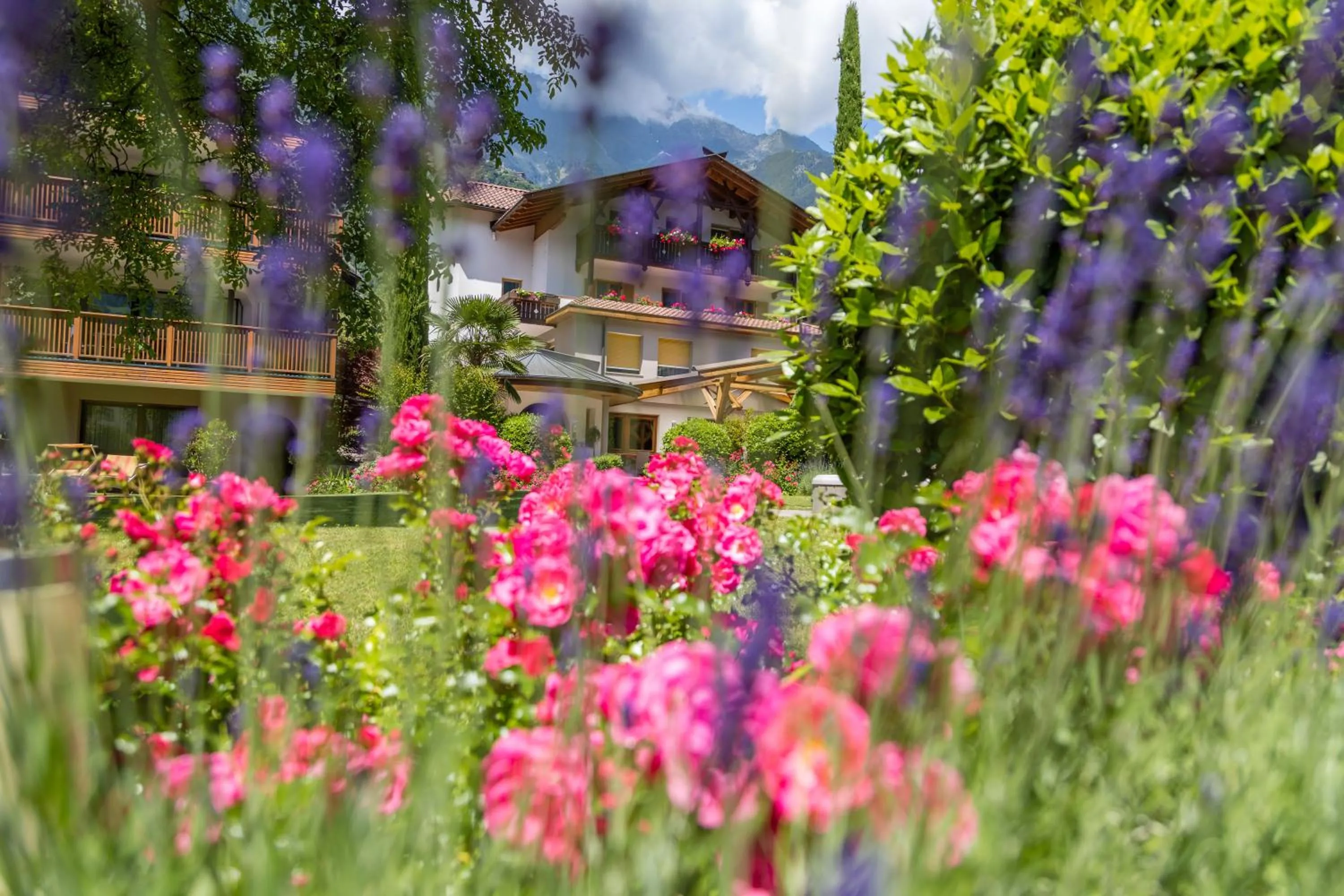 Garden in Apartm. & BB Ferienidylle Gstrein