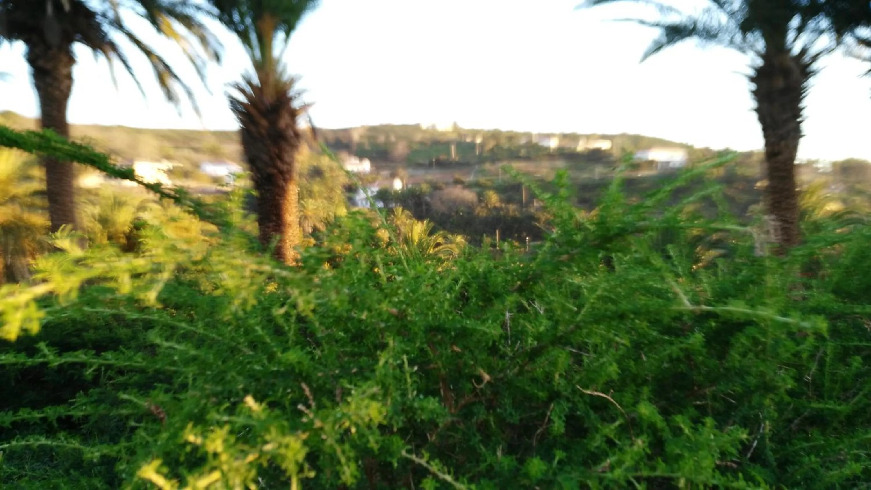 Off site in Pensión Amparo Las Hayas