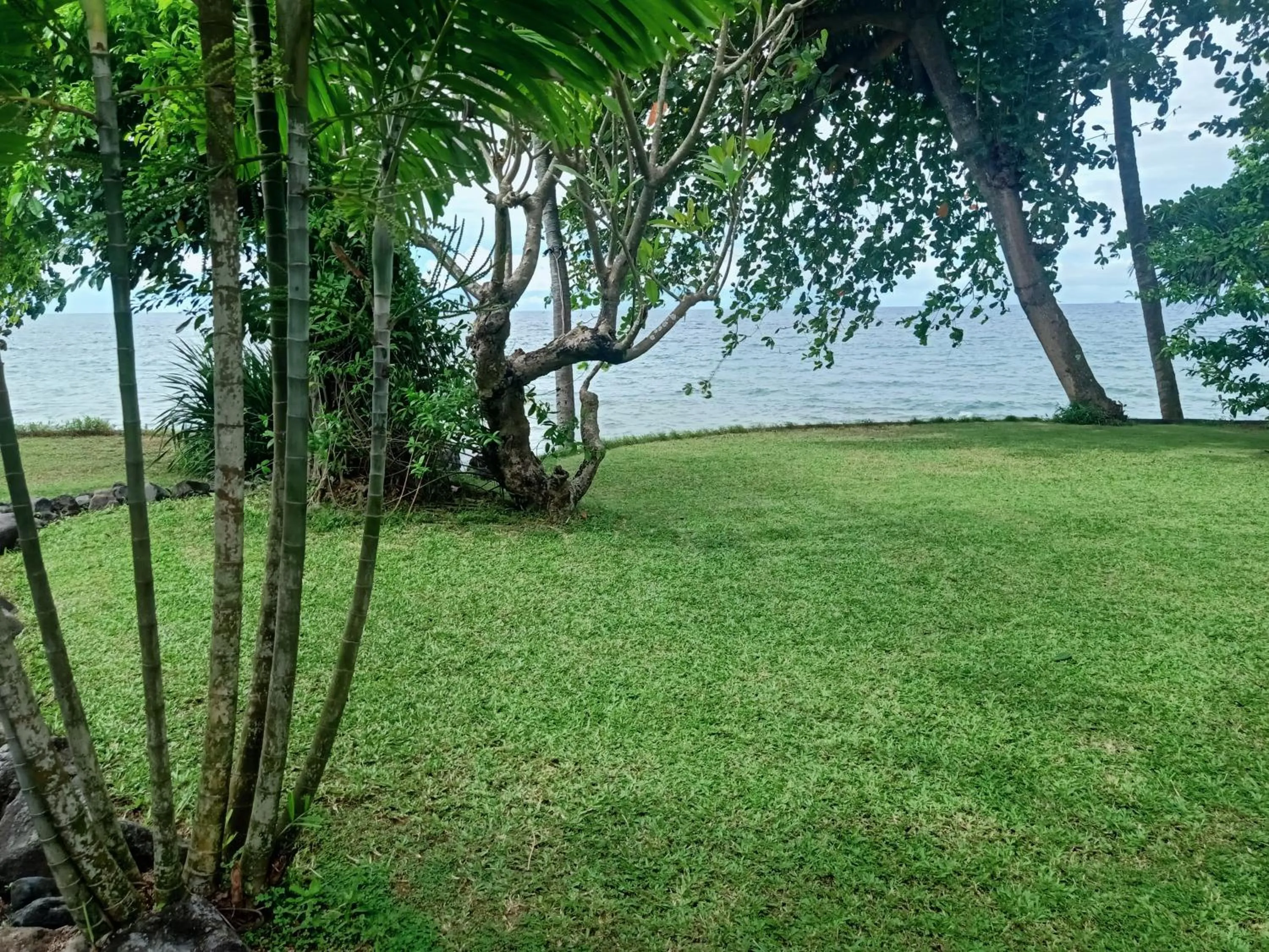 Garden in Palm Beach Villas Bali