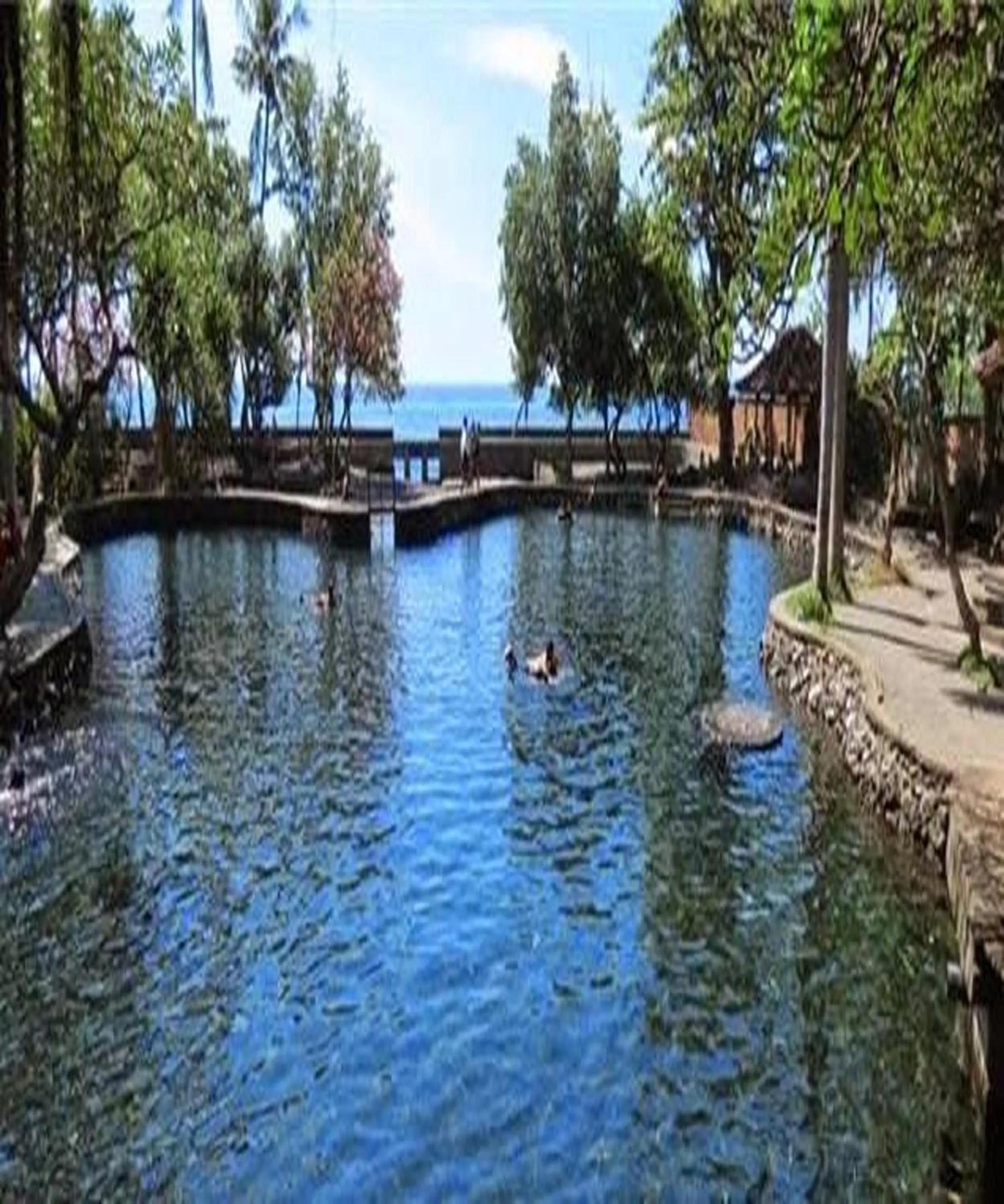 Swimming pool in Palm Beach Villas Bali
