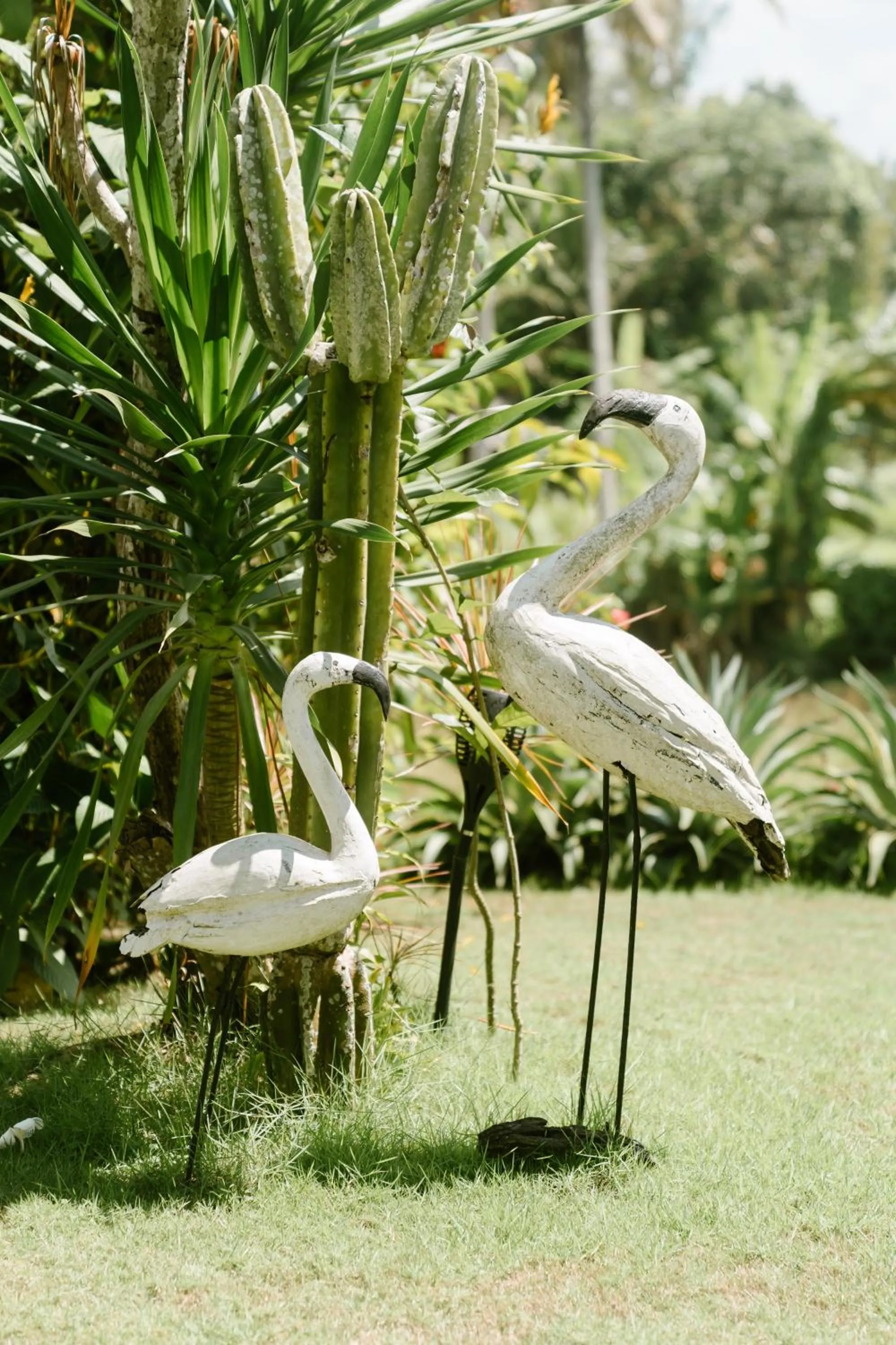 Coco Verde Bali Resort