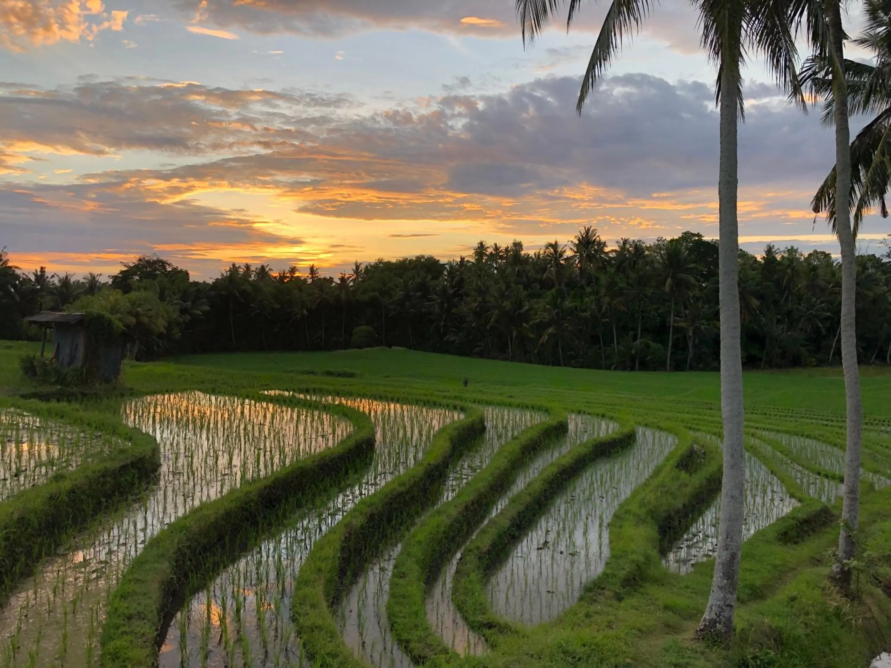 Coco Verde Bali Resort